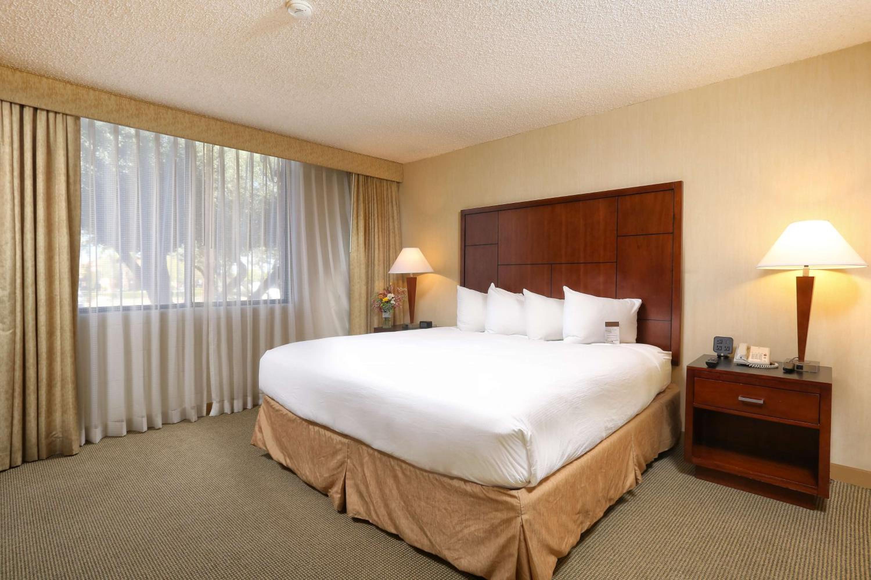One-Bedroom King Suite with Sofa Bed - Non-Smoking - Photo 1