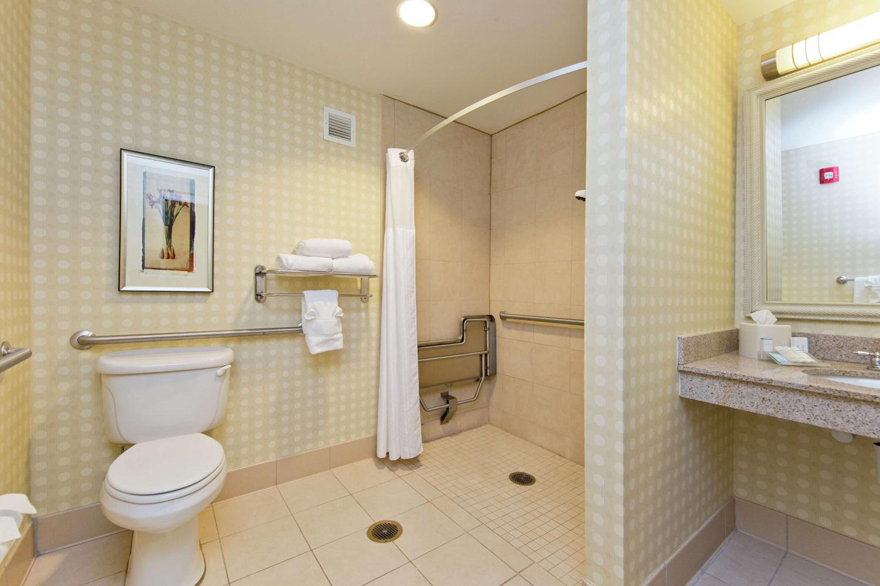 King Room with Roll-In Shower - Mobility/Hearing Accessible - Photo 3