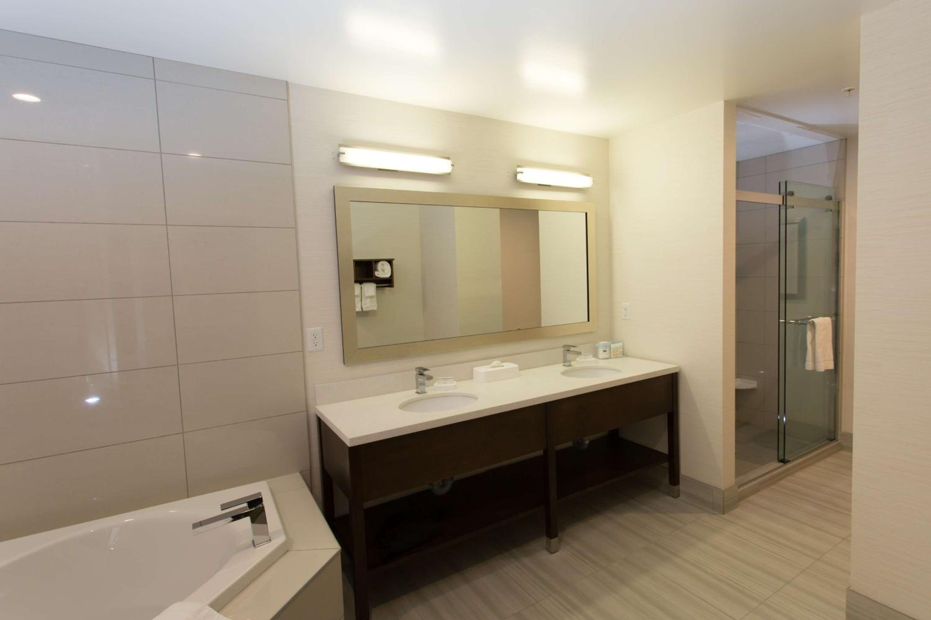 King Suite with Whirlpool photo 3