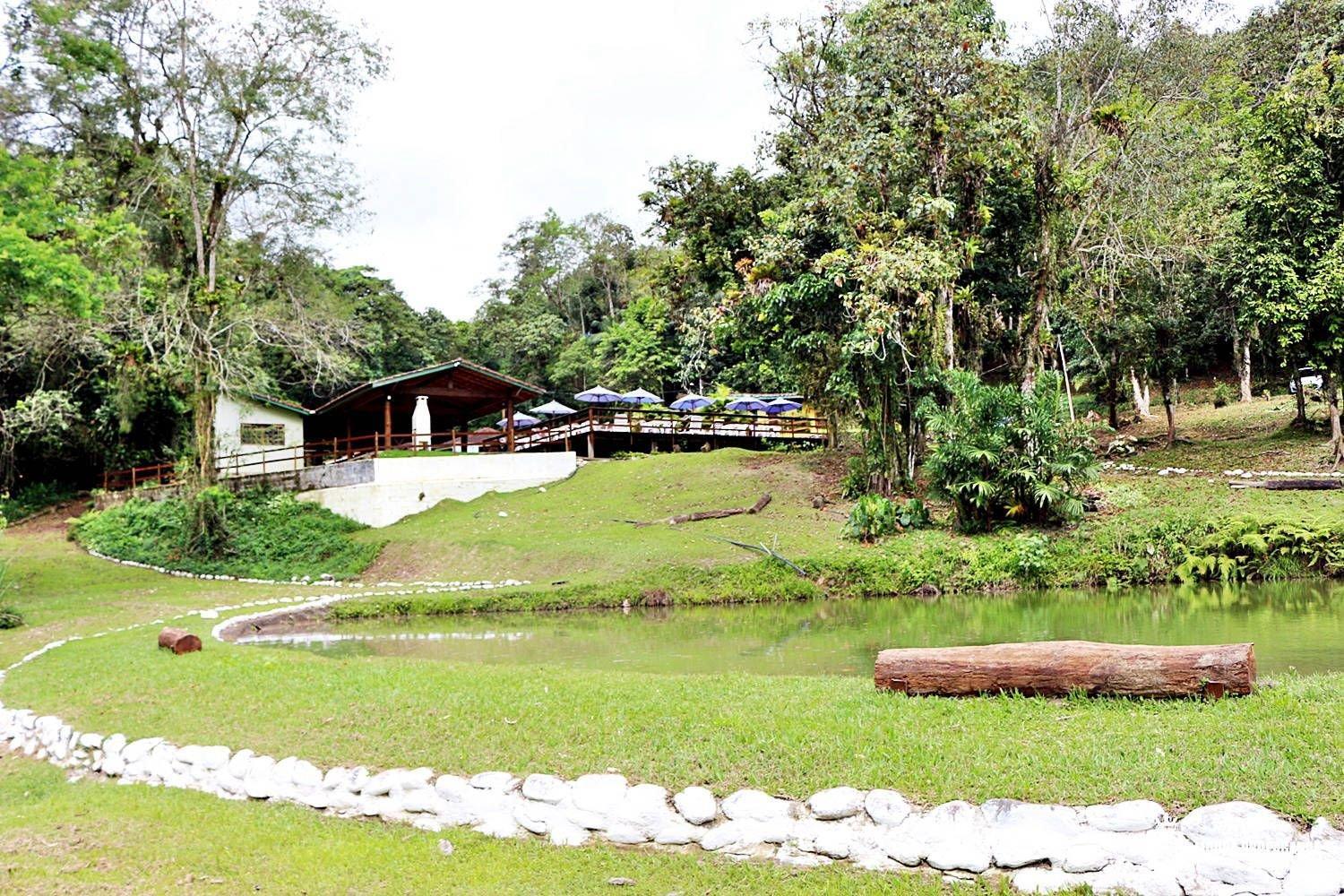 Chalet - Photo 17