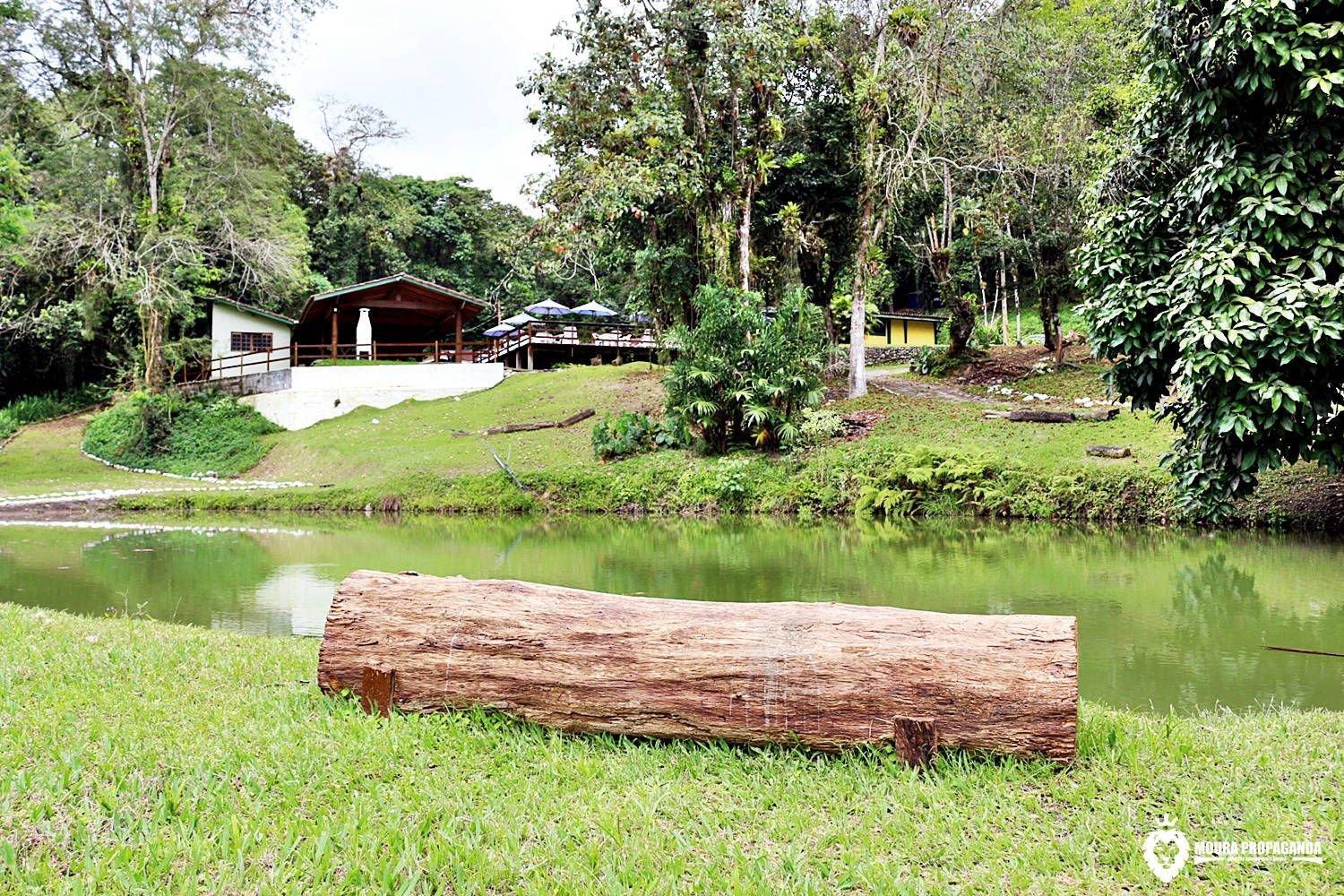 Chalet - Photo 19