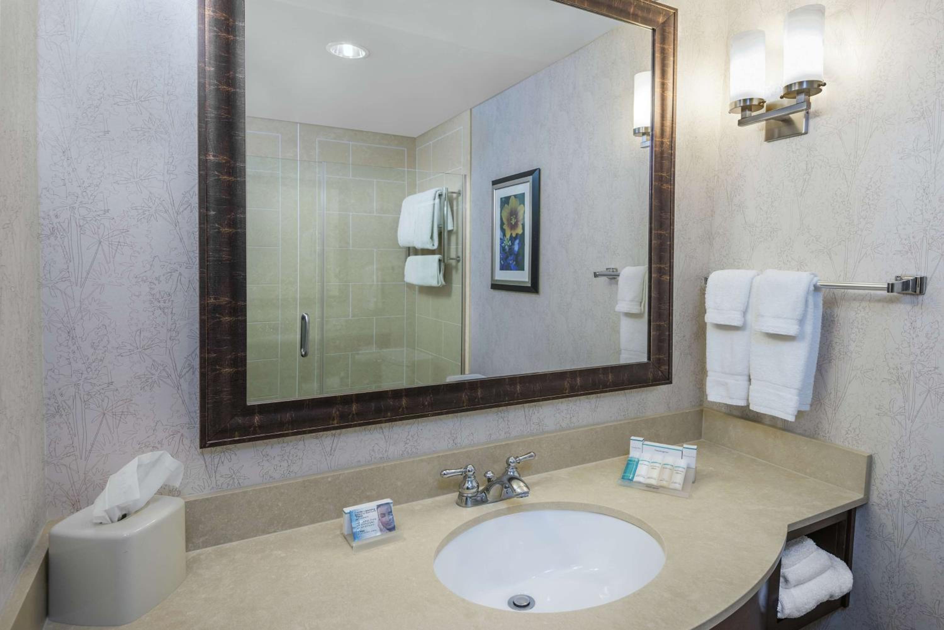 Premium King Room photo 2
