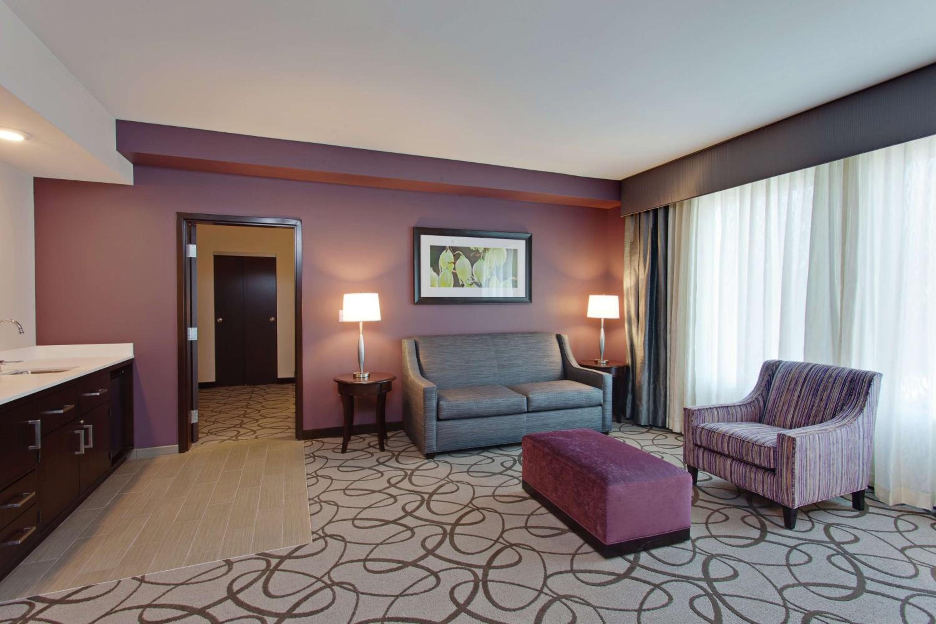 One-Bedroom King Suite photo 2
