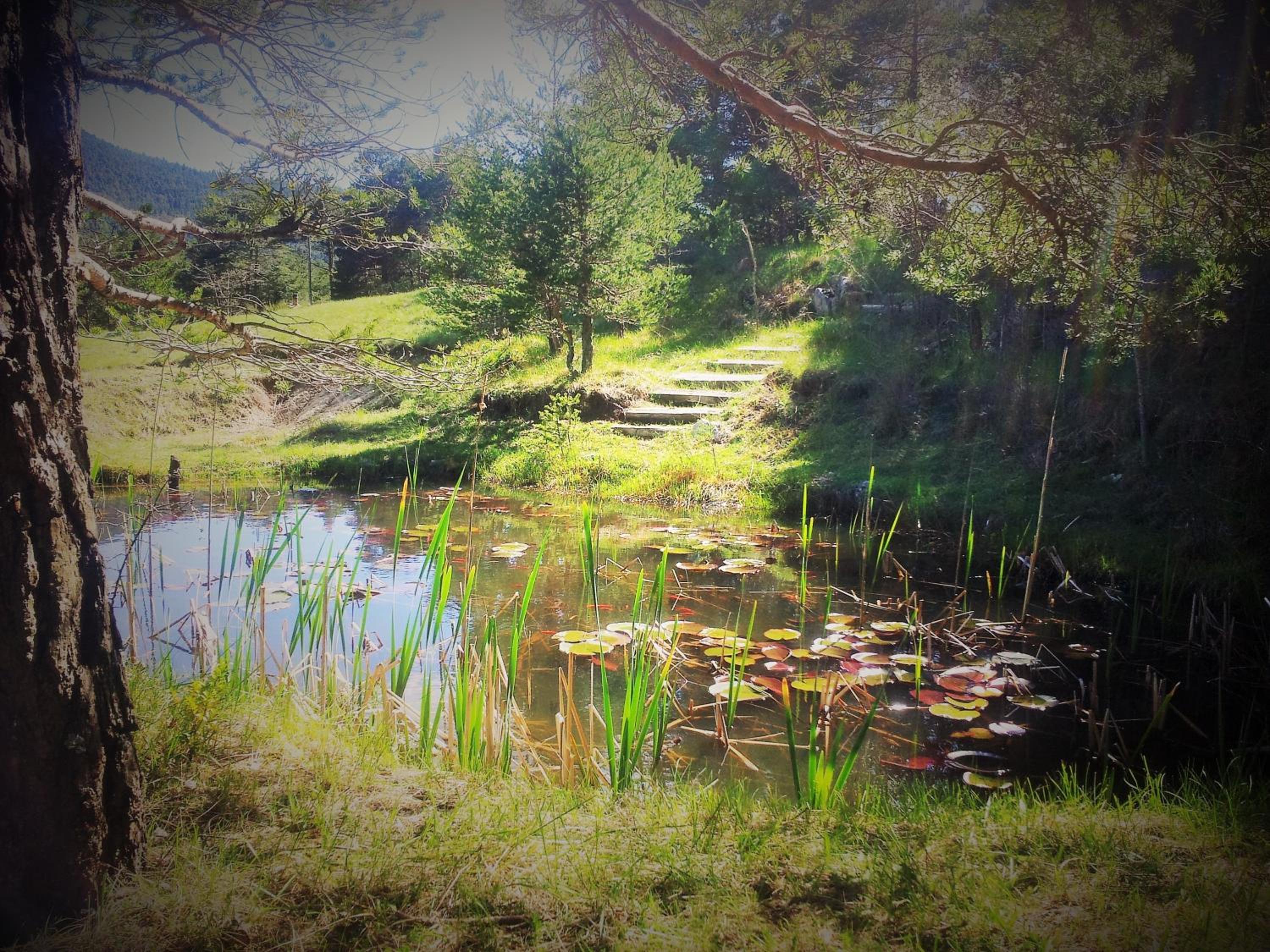 Nid de la Bastide (Dormir sous les étoiles) photo 2