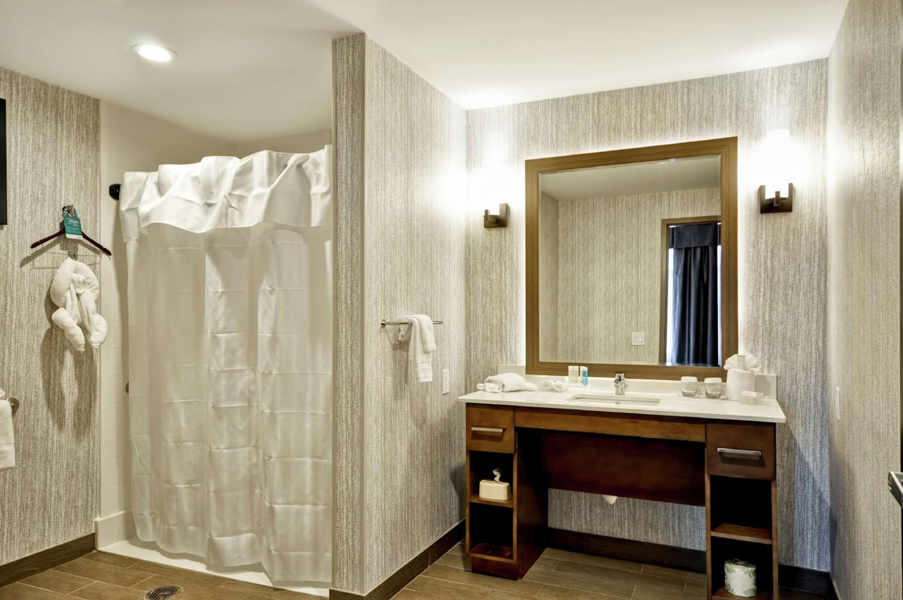 King Studio with Roll-In Shower - Mobility and Hearing Access/Non-Smoking photo 3