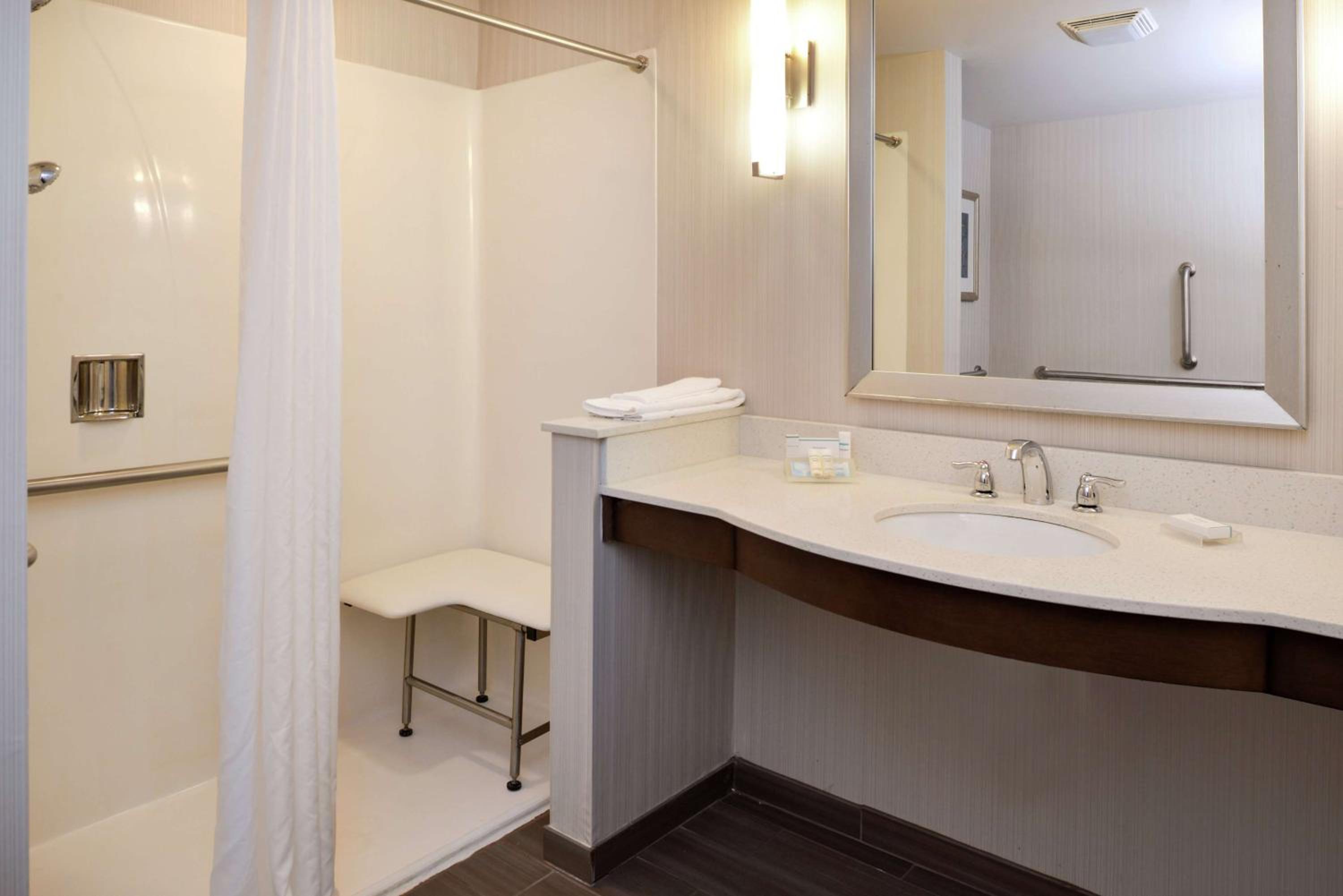 King Room with Roll-In Shower - Mobility/Hearing Accessible photo 2