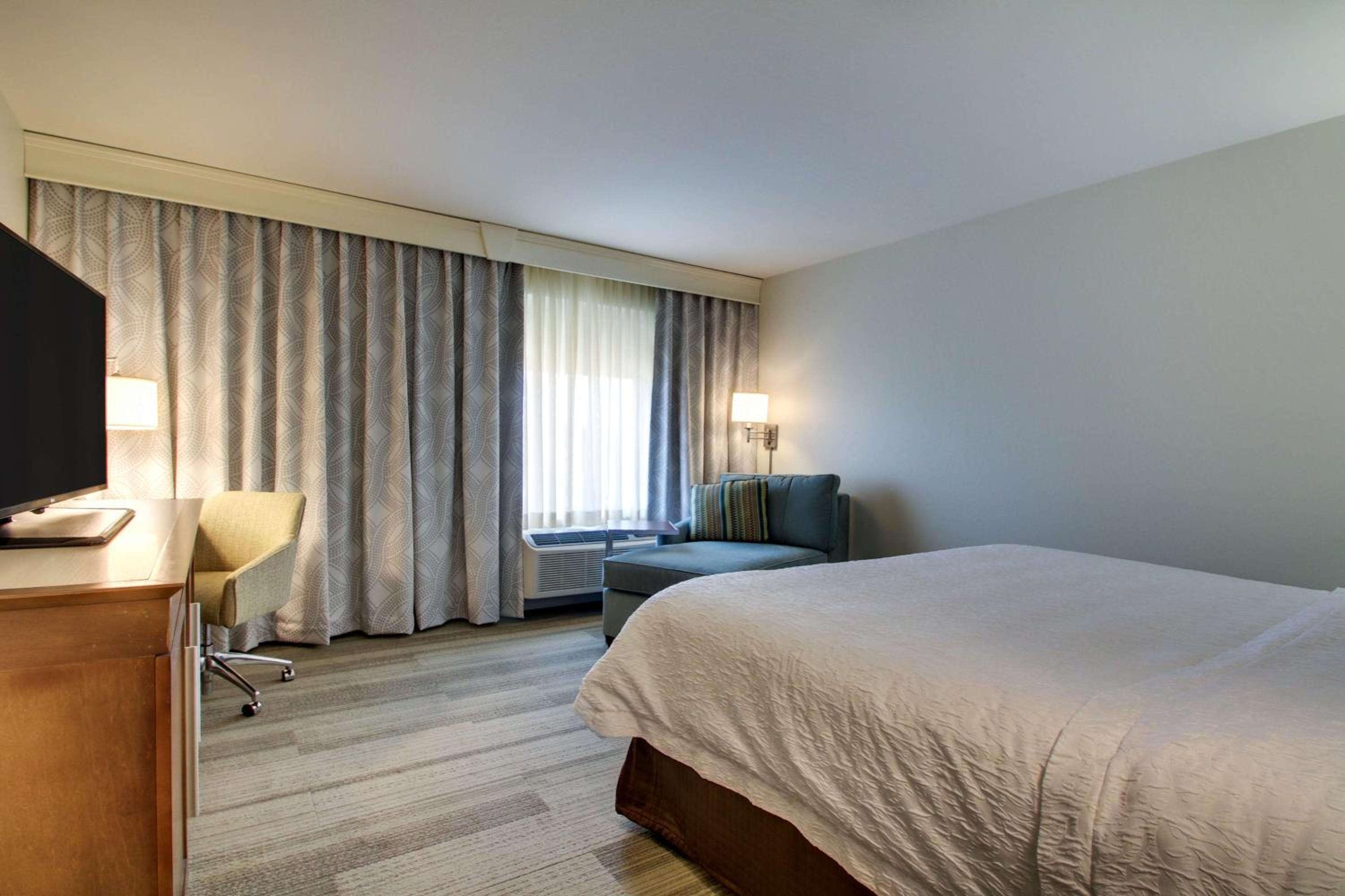 King Room photo 2