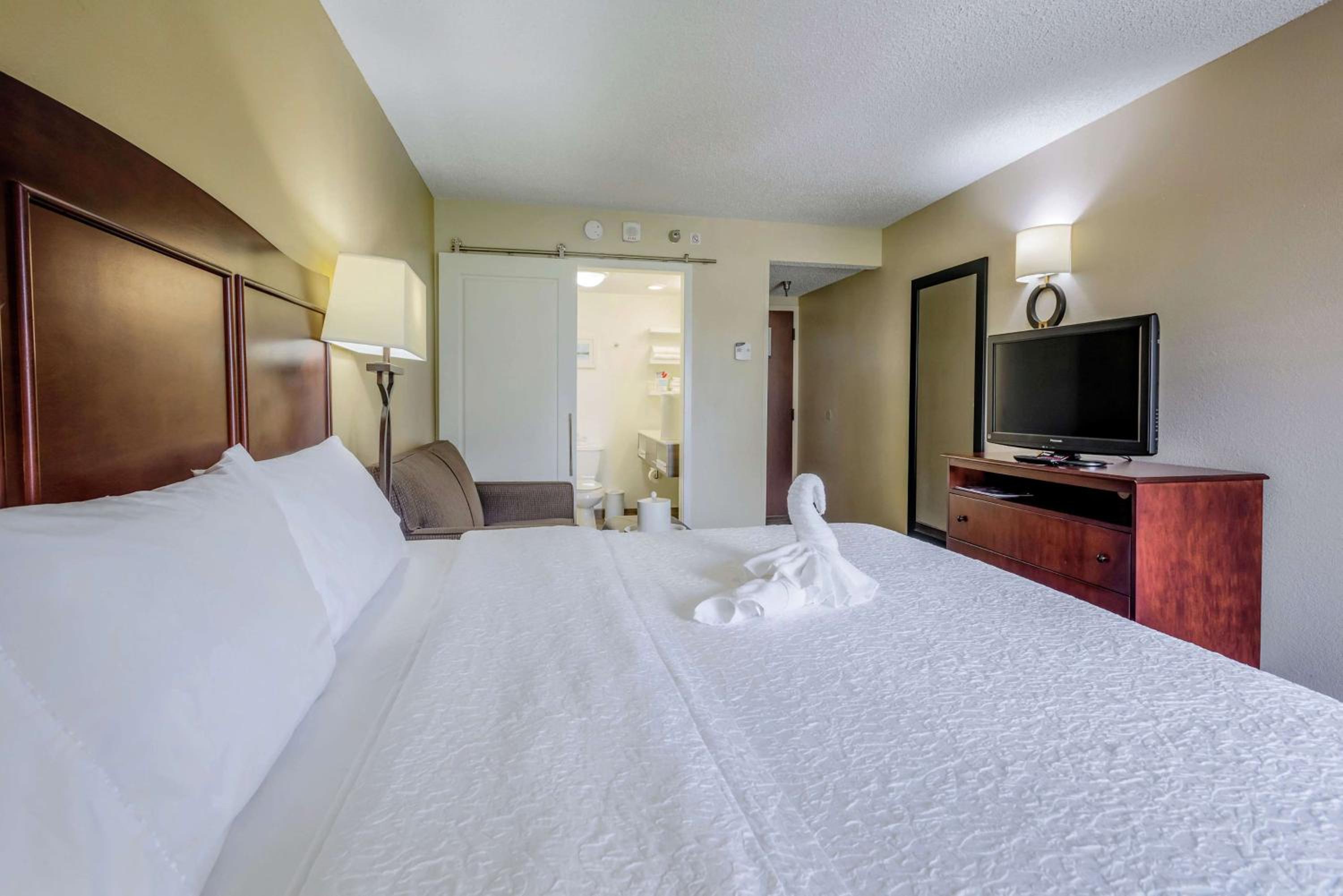 King Room with Refrigerator - Photo 4