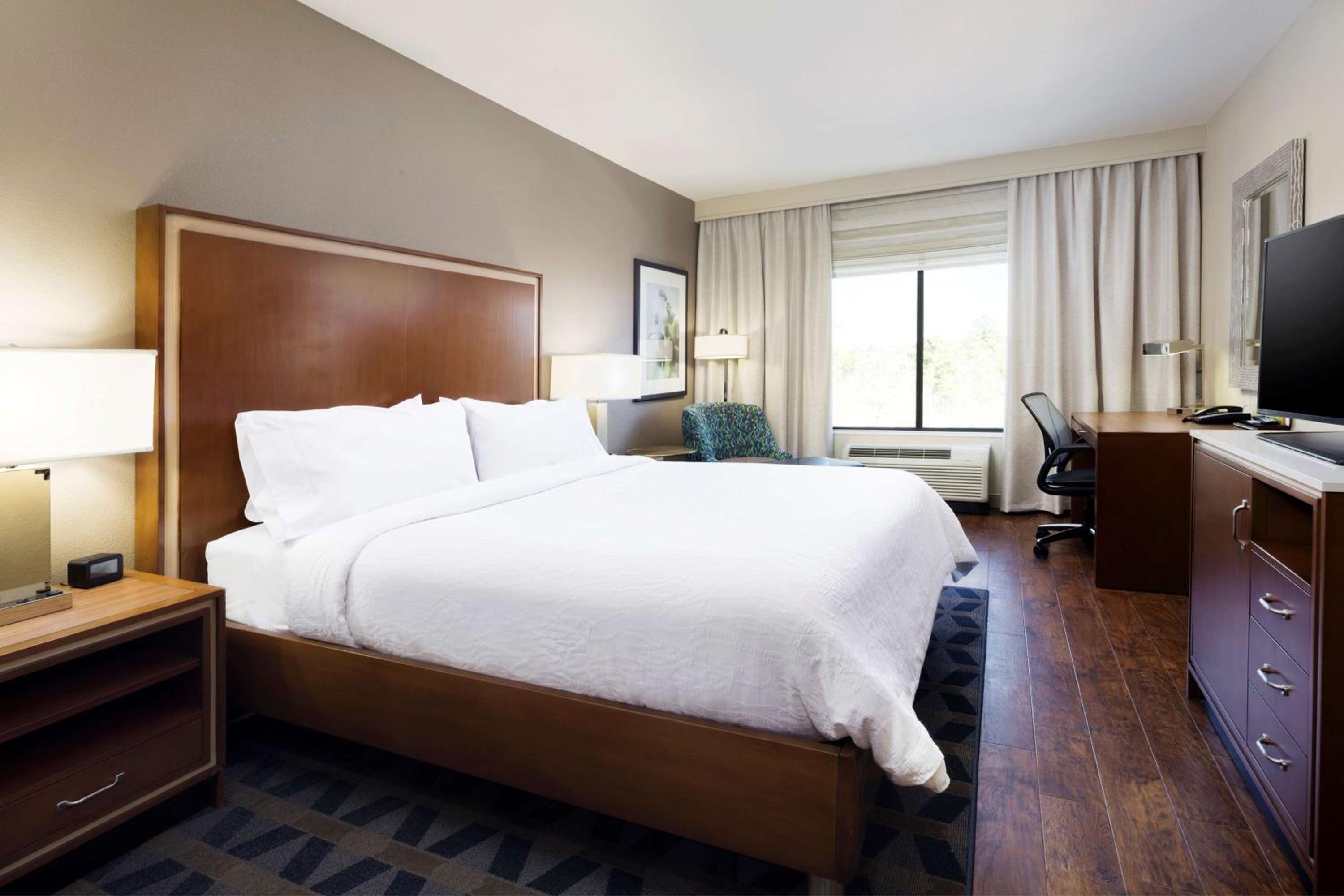 One-Bedroom King Suite with Sofa Bed