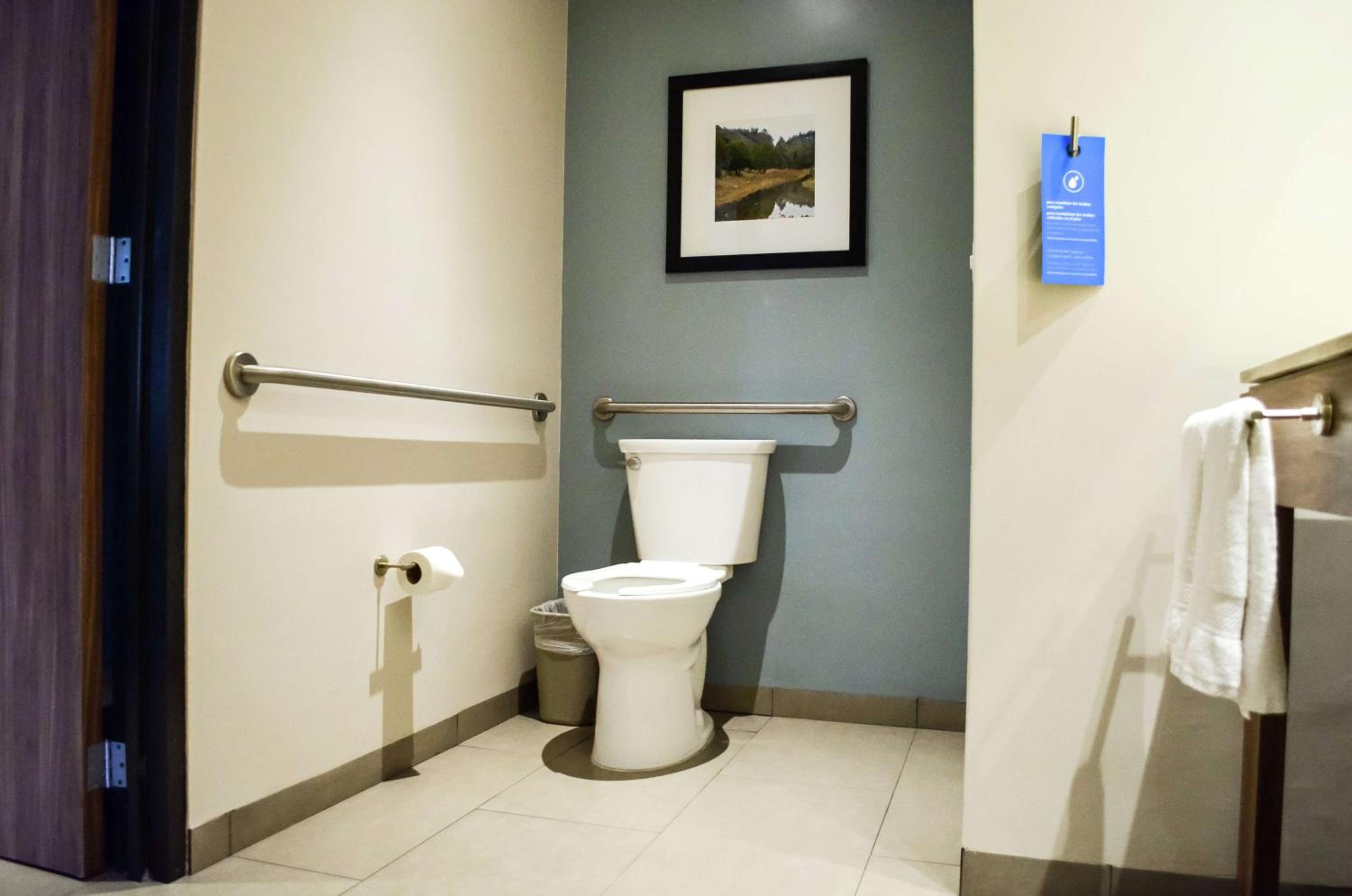 King Room with Roll-In Shower - Mobility Access/Non-Smoking photo 3
