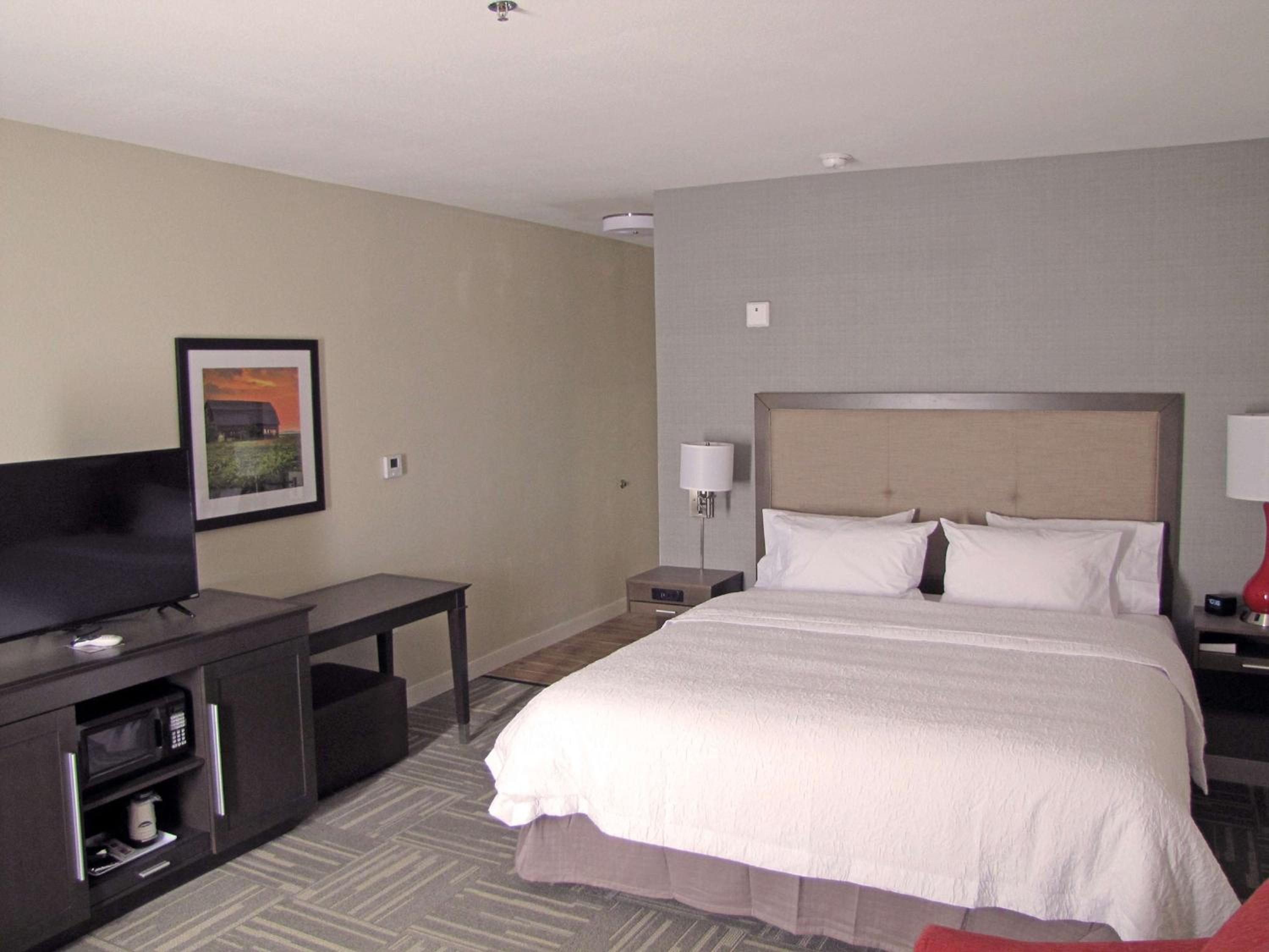 Large King Room photo 1