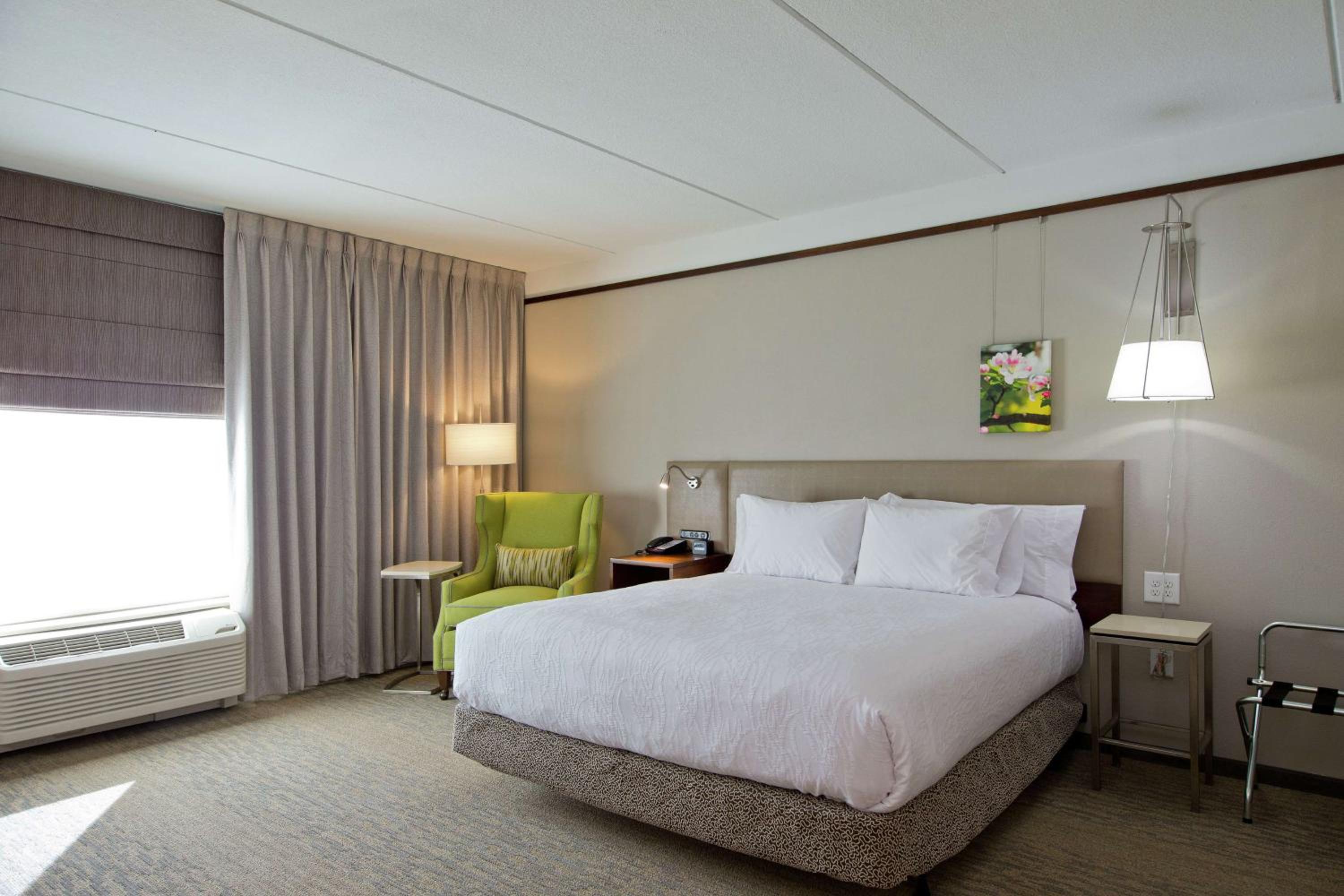 Junior King Suite with Sofa Bed