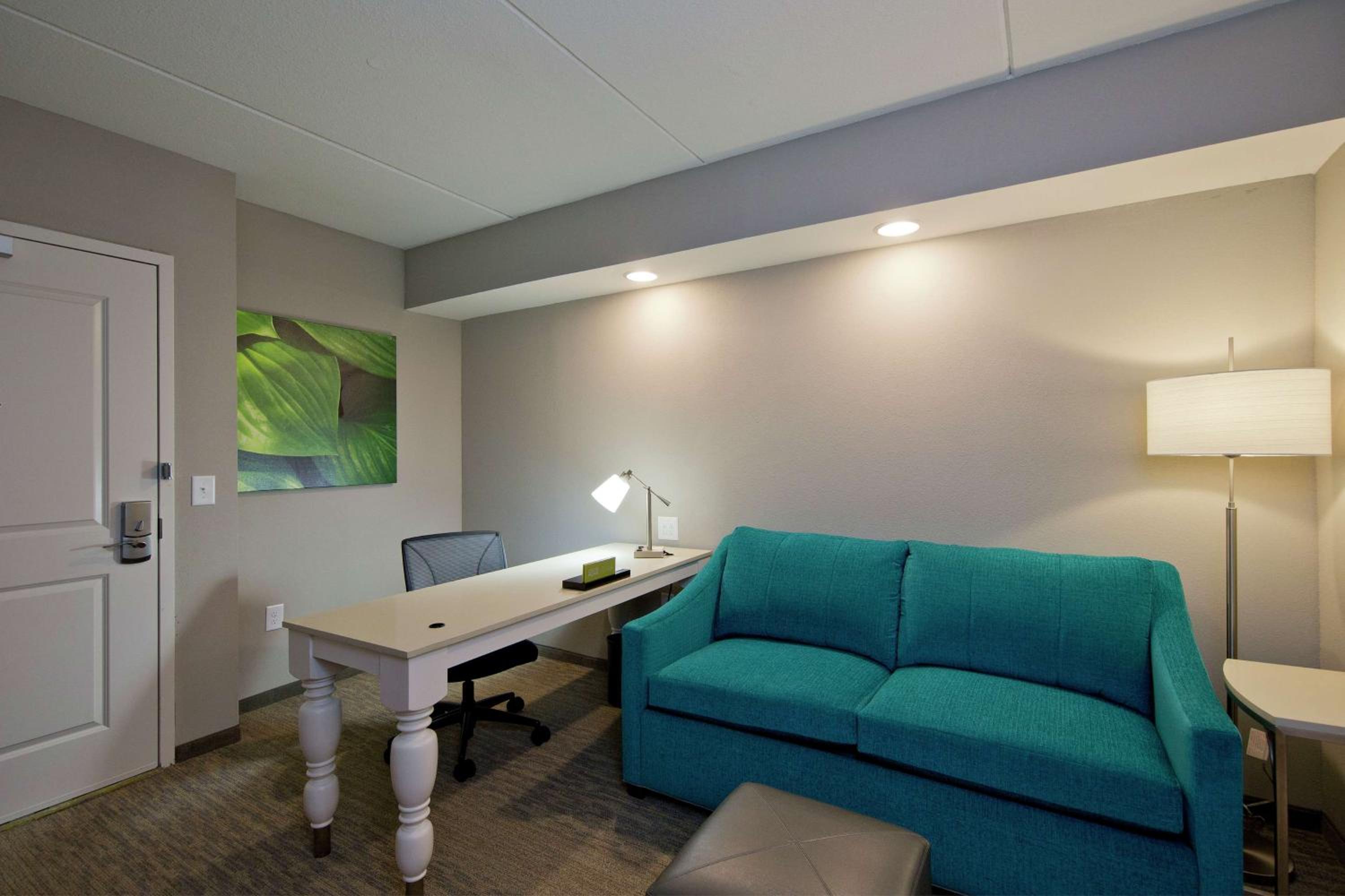 Junior King Suite with Sofa Bed photo 2