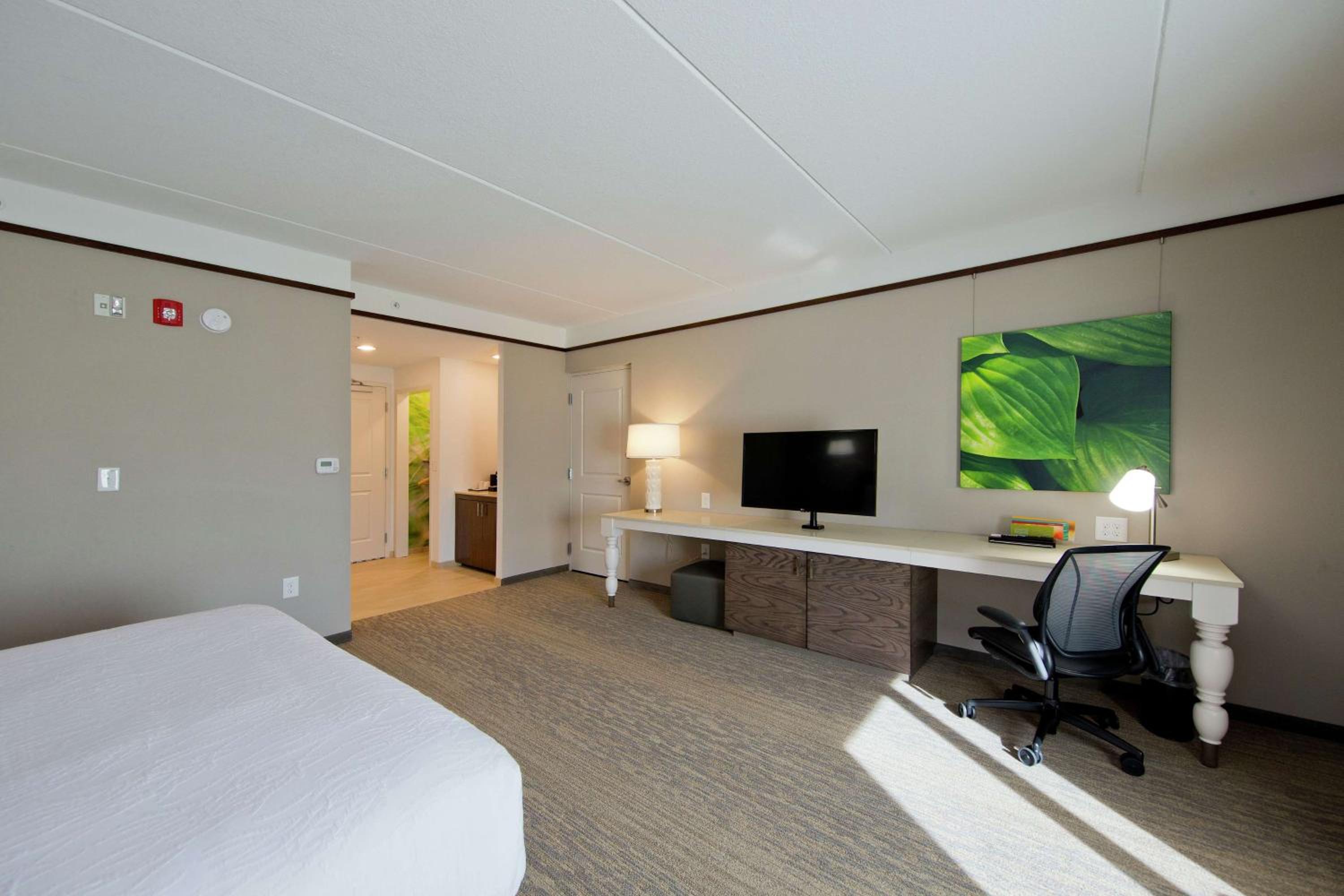 King Room photo 2