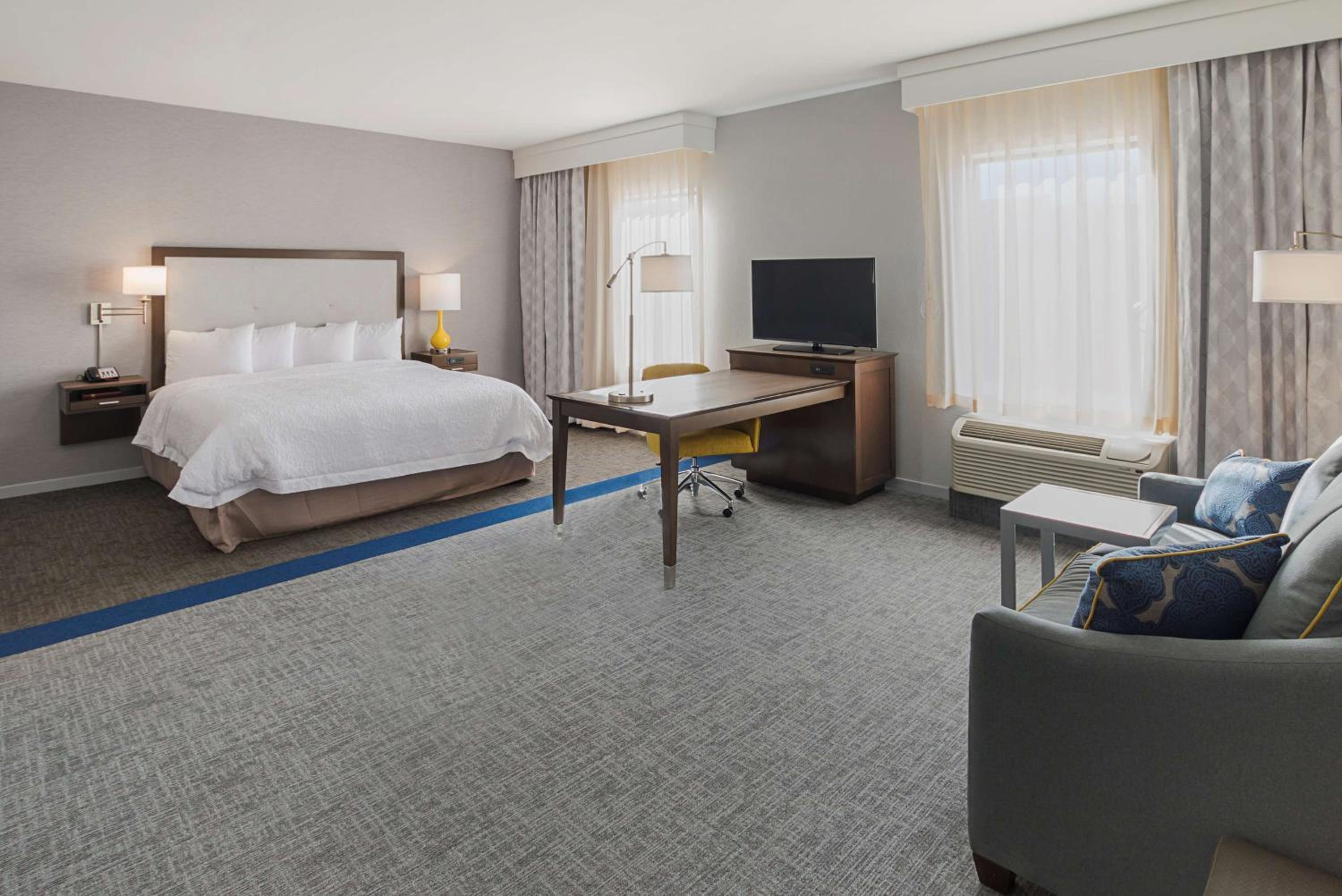 King Room with Sofa Bed - Mobility Accessible/Non-Smoking photo 2