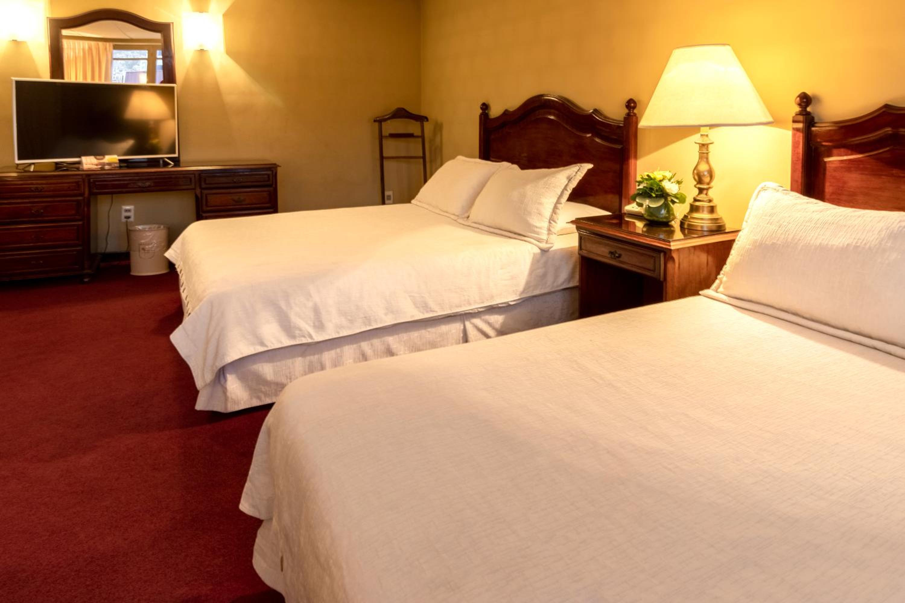 Deluxe Twin Room photo 2