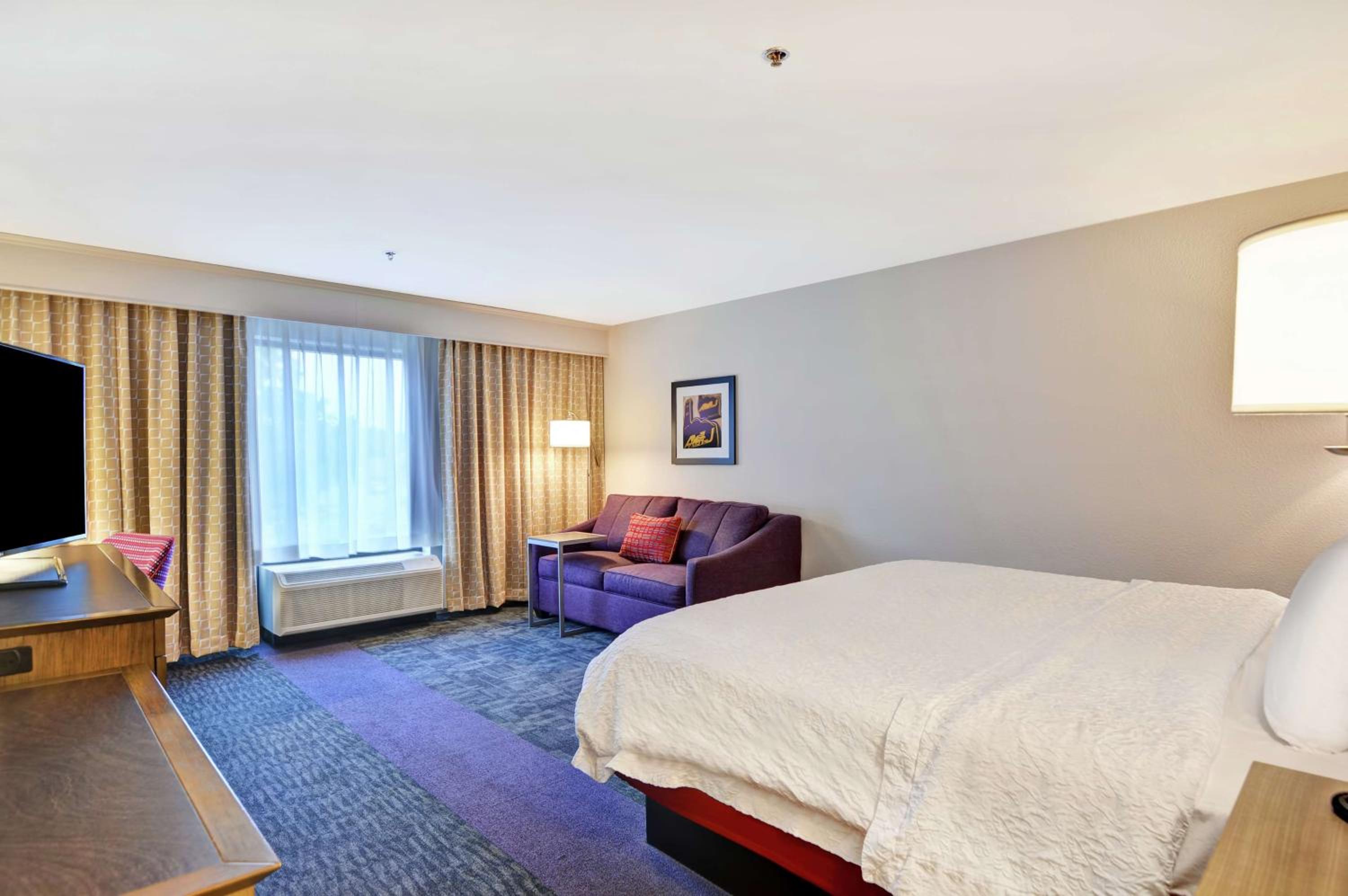 King Room with Sofa Bed - Hearing Accessible/Non-Smoking