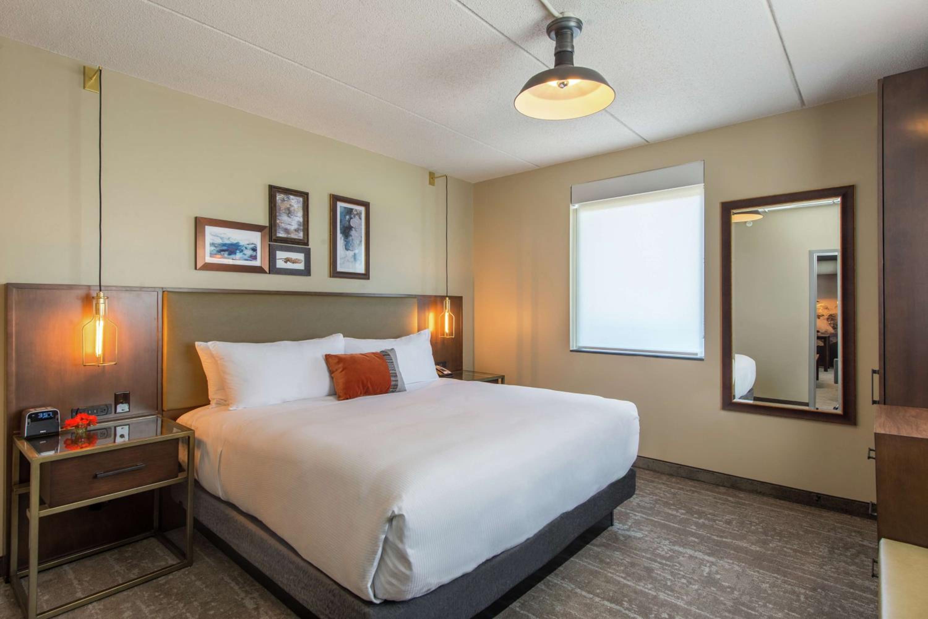 Deluxe King Suite