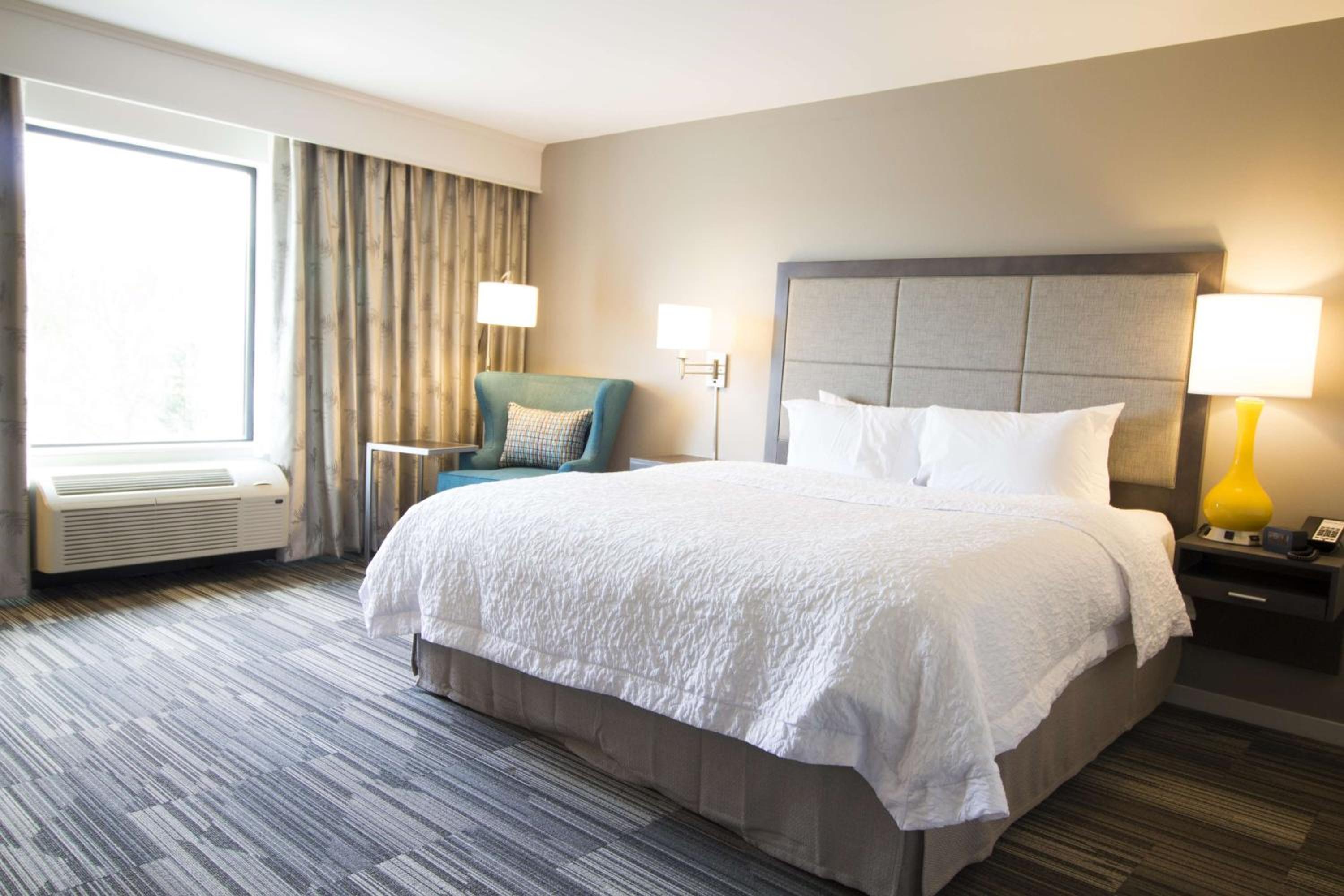 King Room with Sofa Bed - Hearing Accessible/Non-Smoking