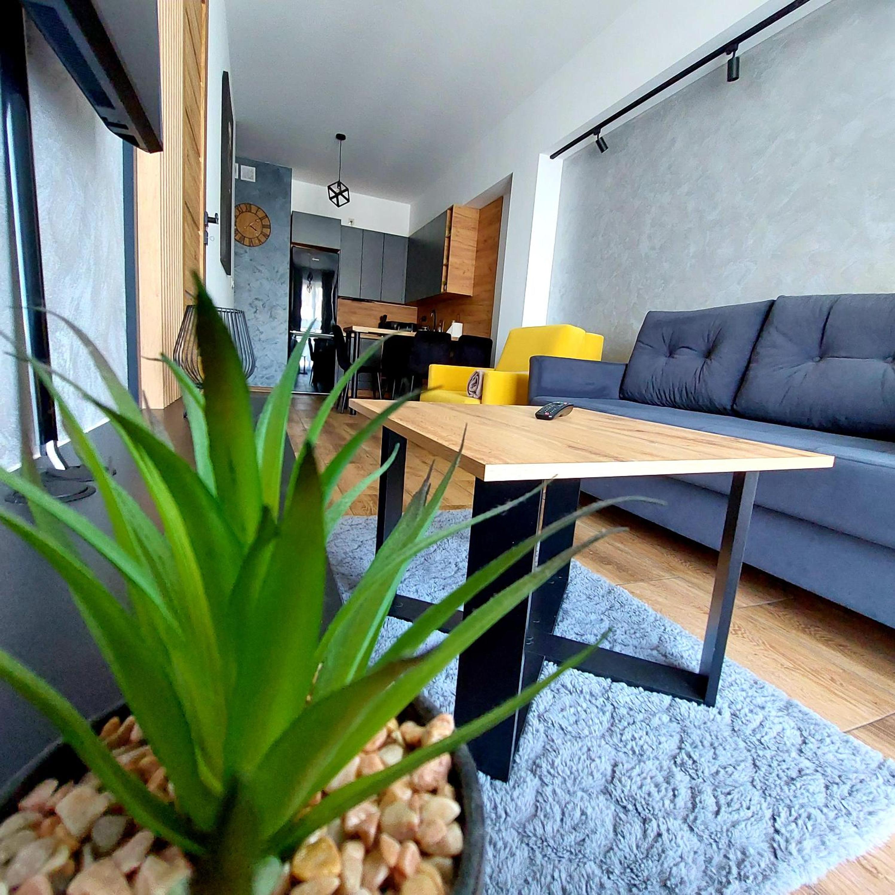 One-Bedroom Apartment - Photo 22