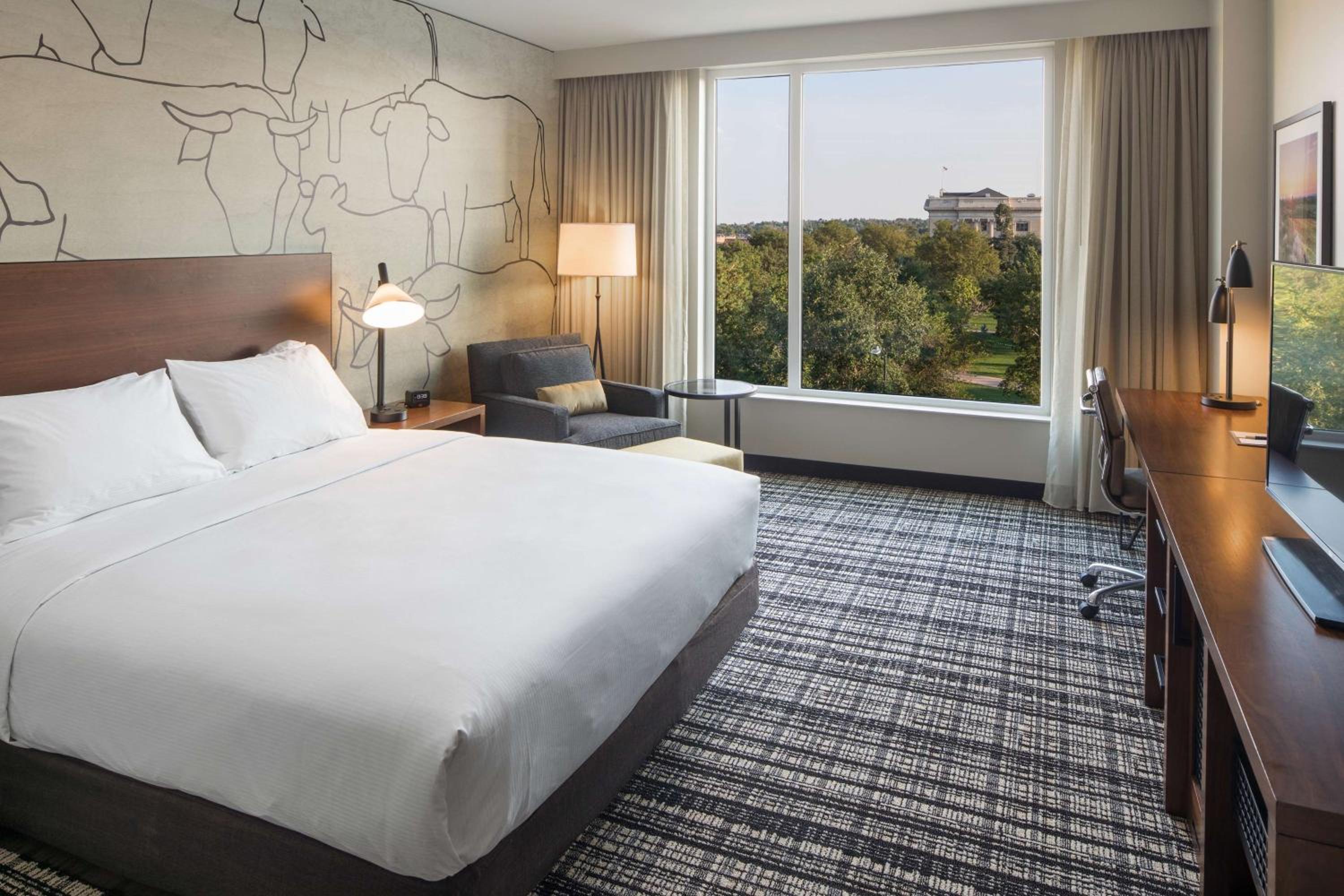 Deluxe King Suite photo 2