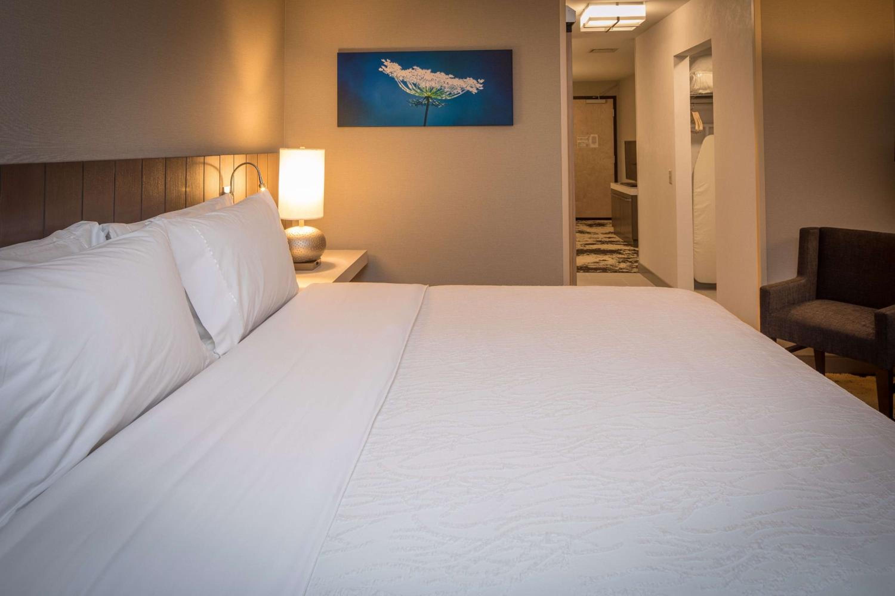 Hilton Garden Inn Pittsburgh Airport, Photo 4