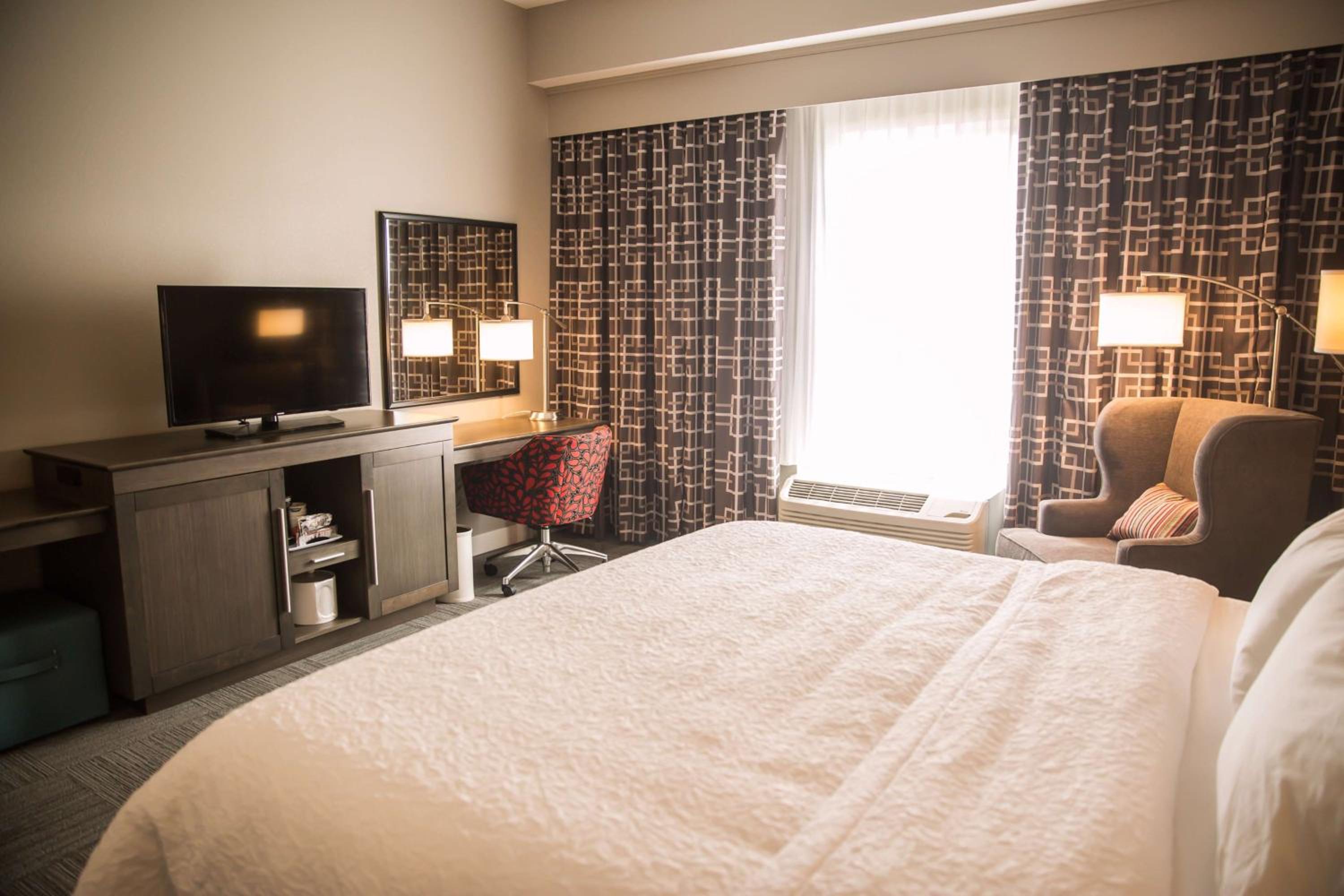King Room photo 1
