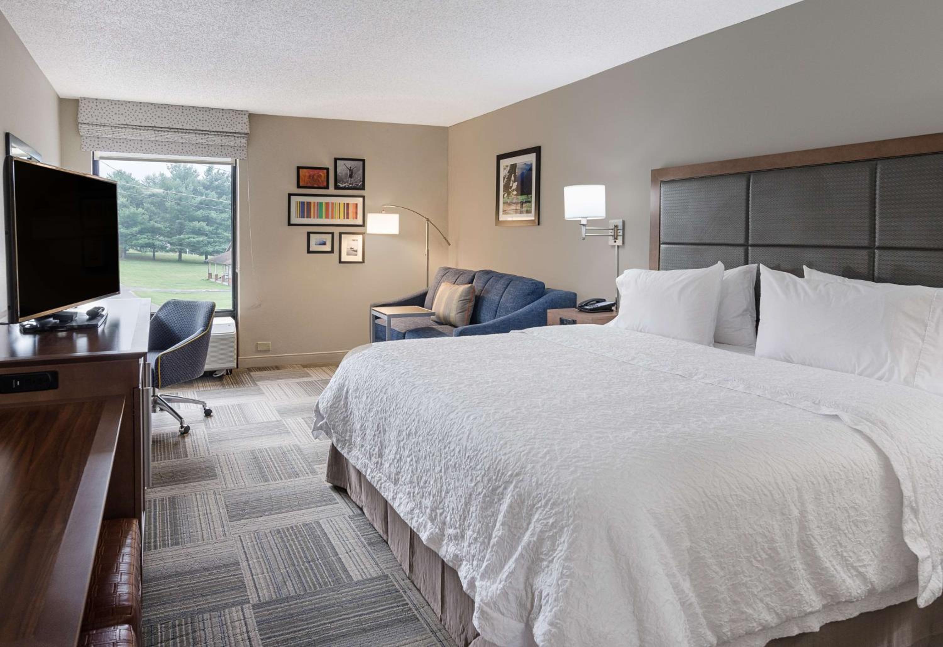 King Room with Sofa Bed - Non-Smoking - Photo 1