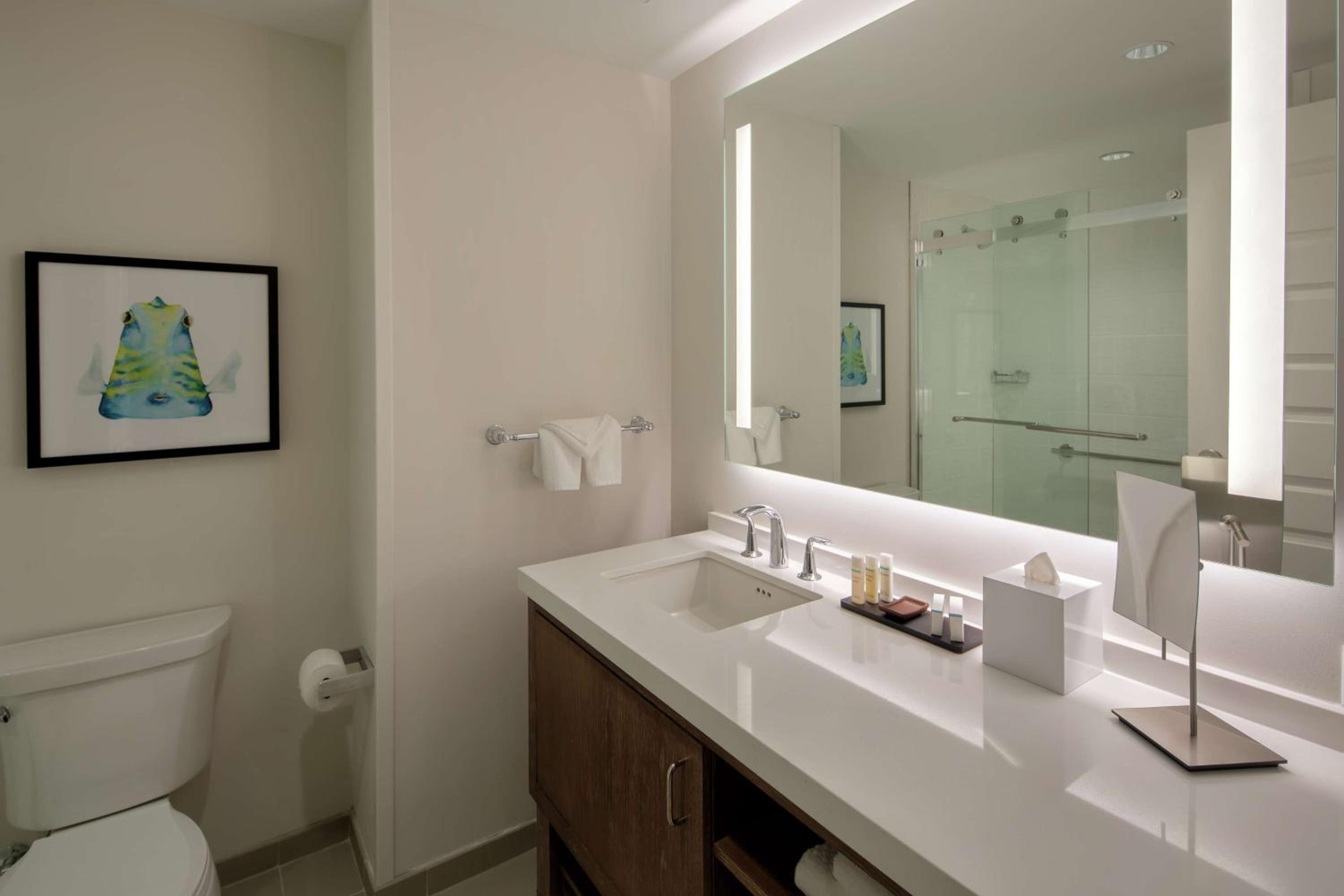 King Studio Suite - Photo 3