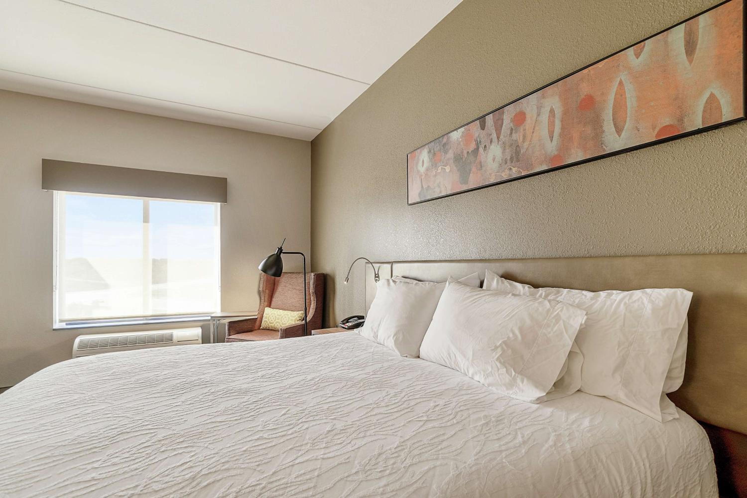 Premium King Room photo 3