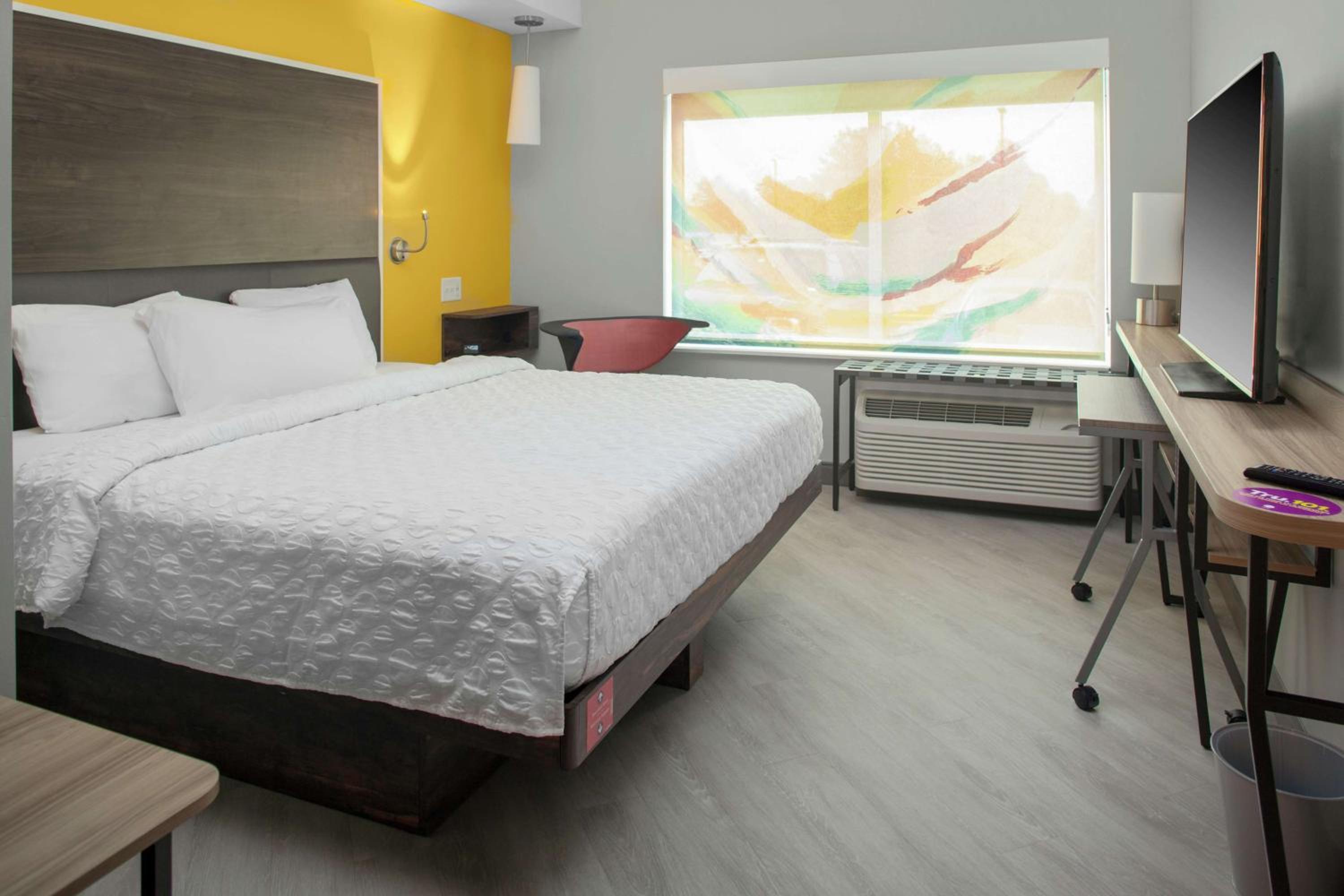 King Room photo 1