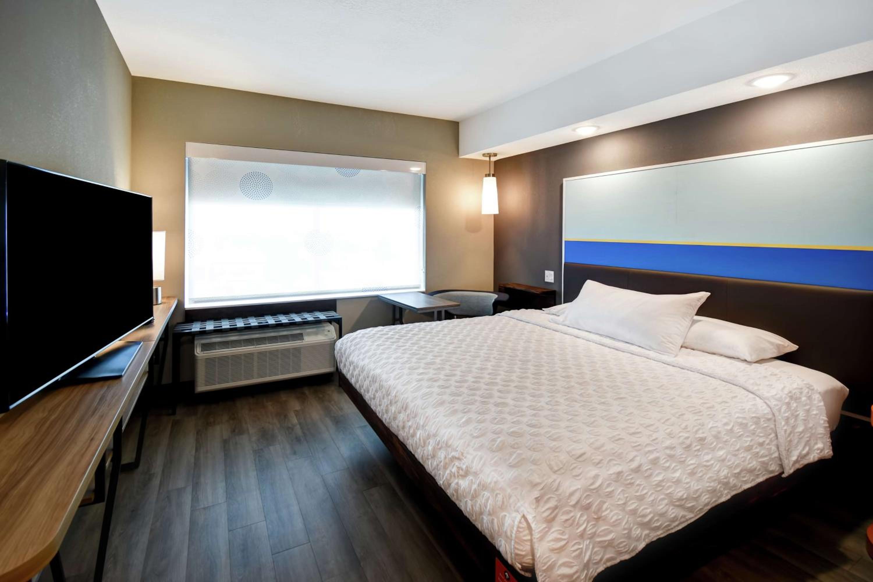 King Room photo 1