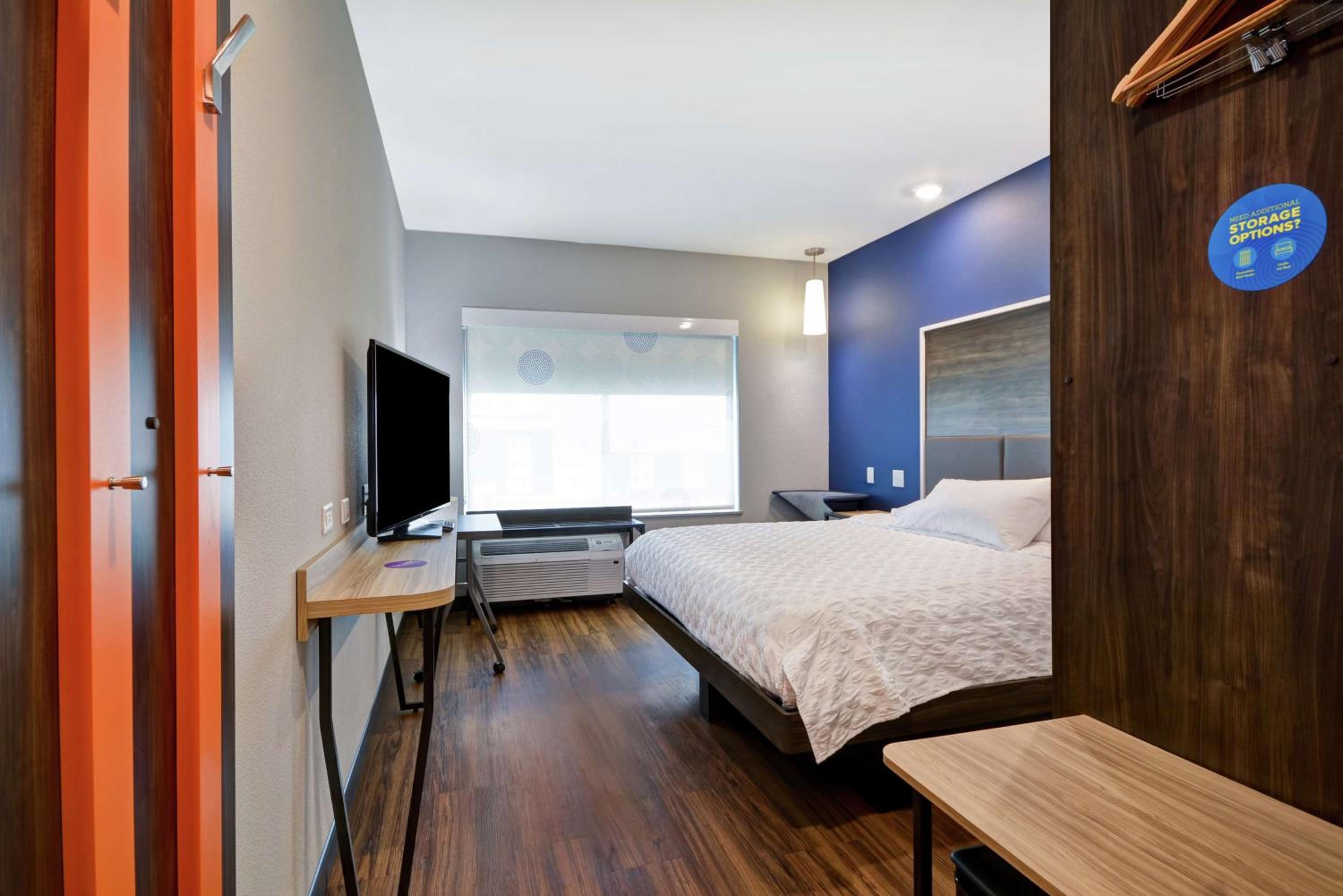 King Room photo 1