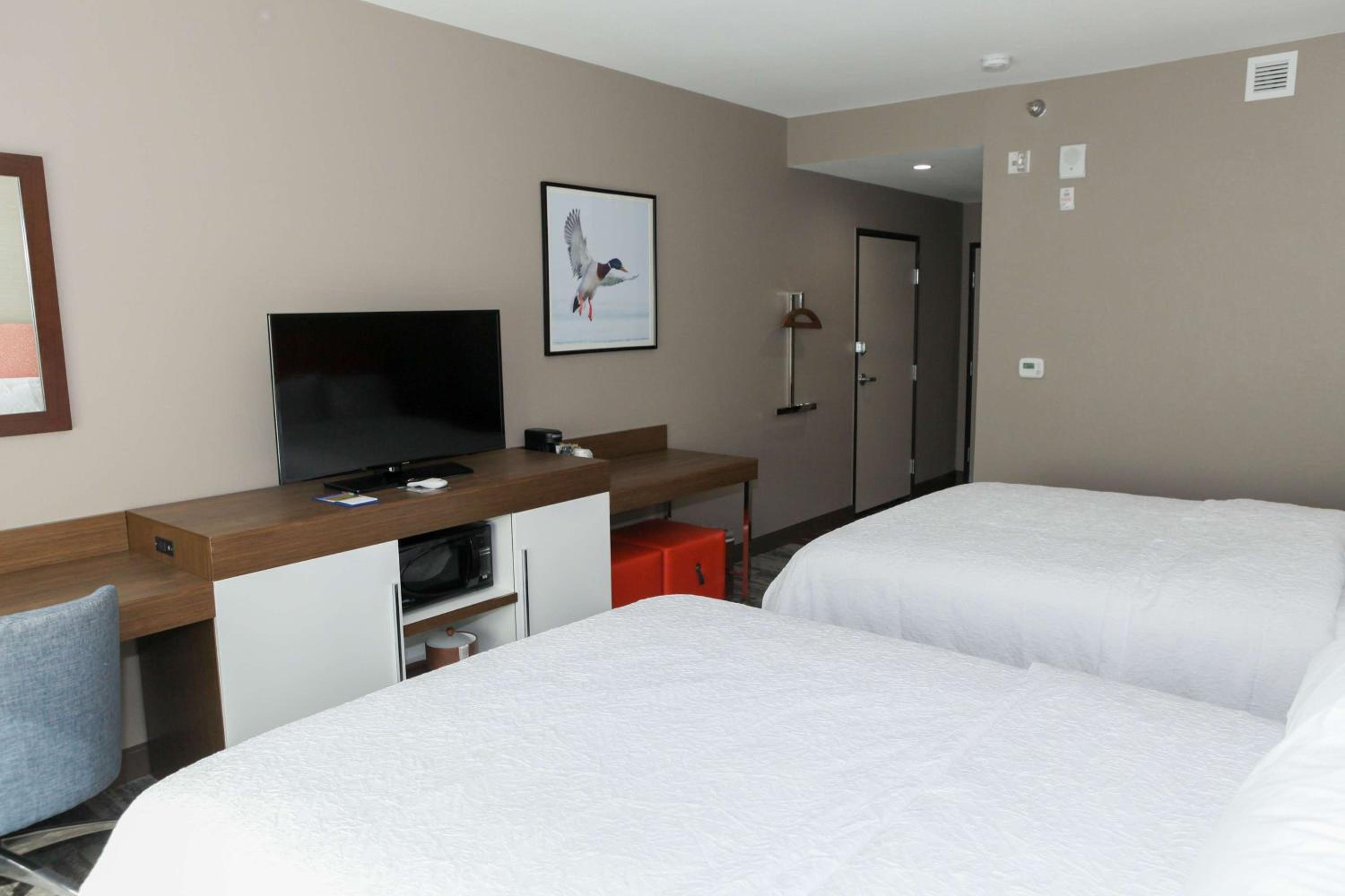 Queen Room with Two Queen Beds - Mobility Access/Non-Smoking photo 1