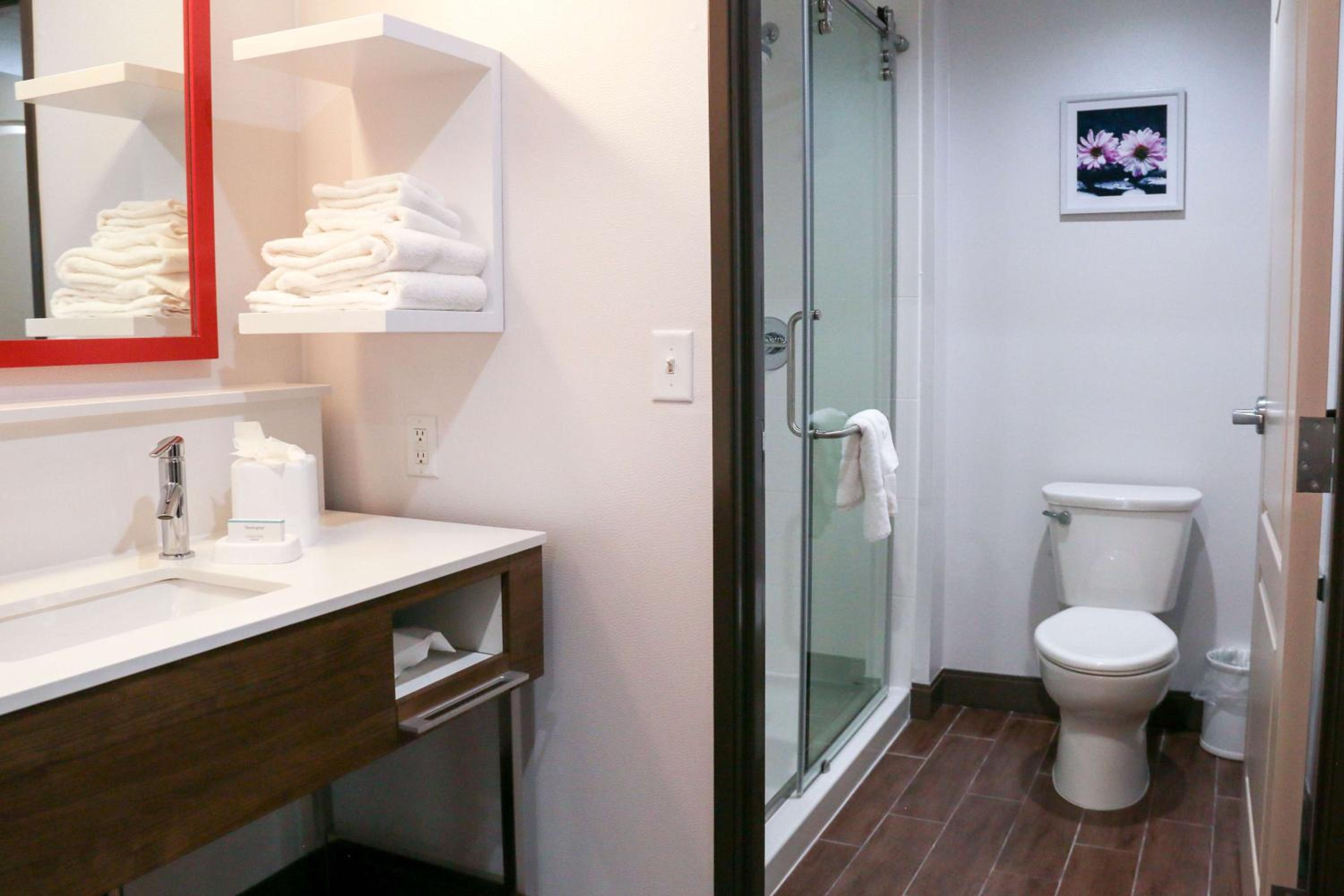 King Studio Suite - Non Smoking photo 3