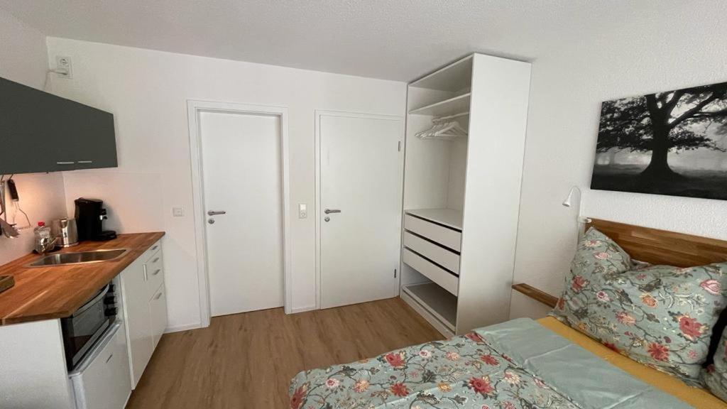 One-Bedroom Apartment photo 3