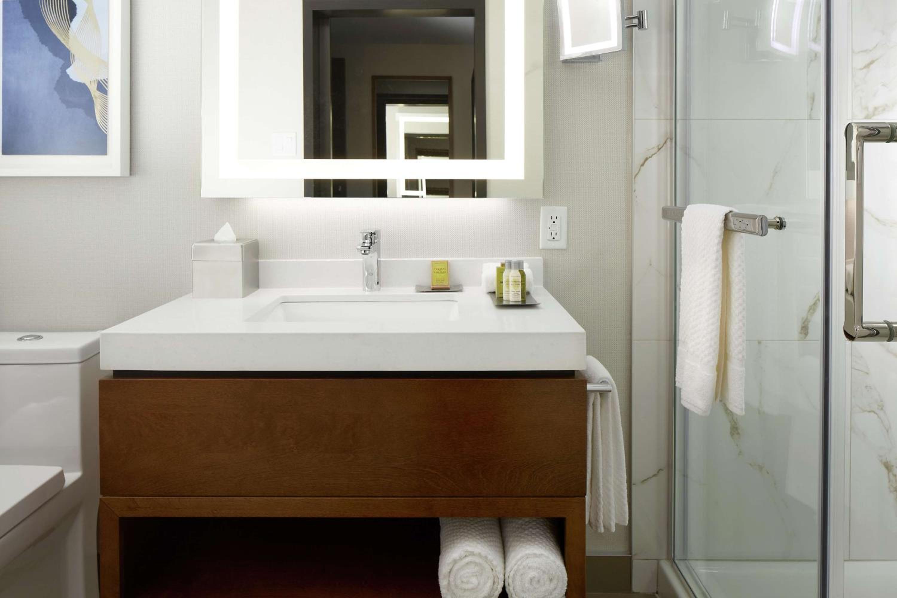 King Studio Suite with Refrigerator - Photo 4