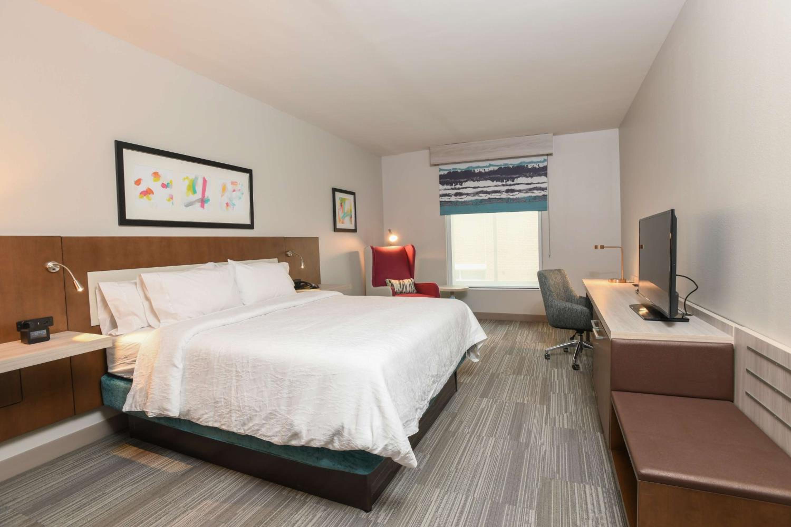 King Room photo 1