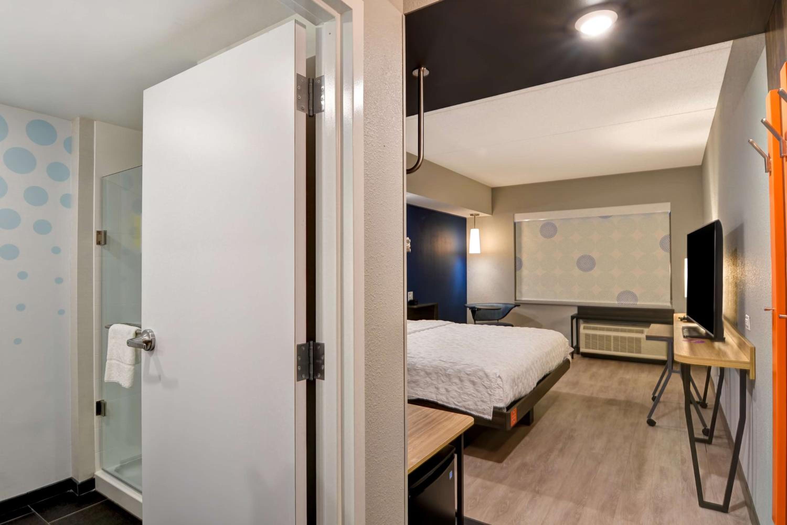 King Room photo 1