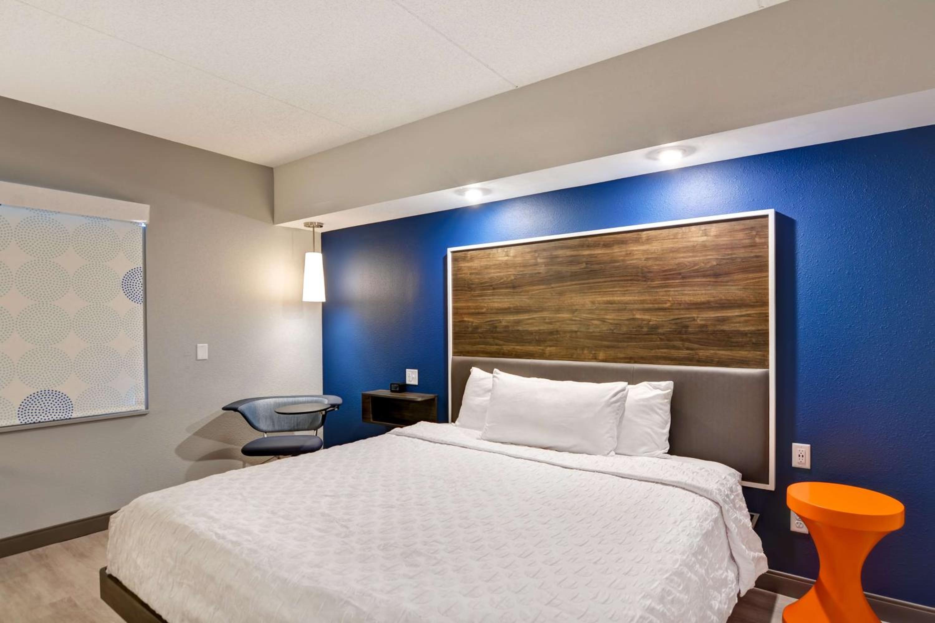 King Room photo 2