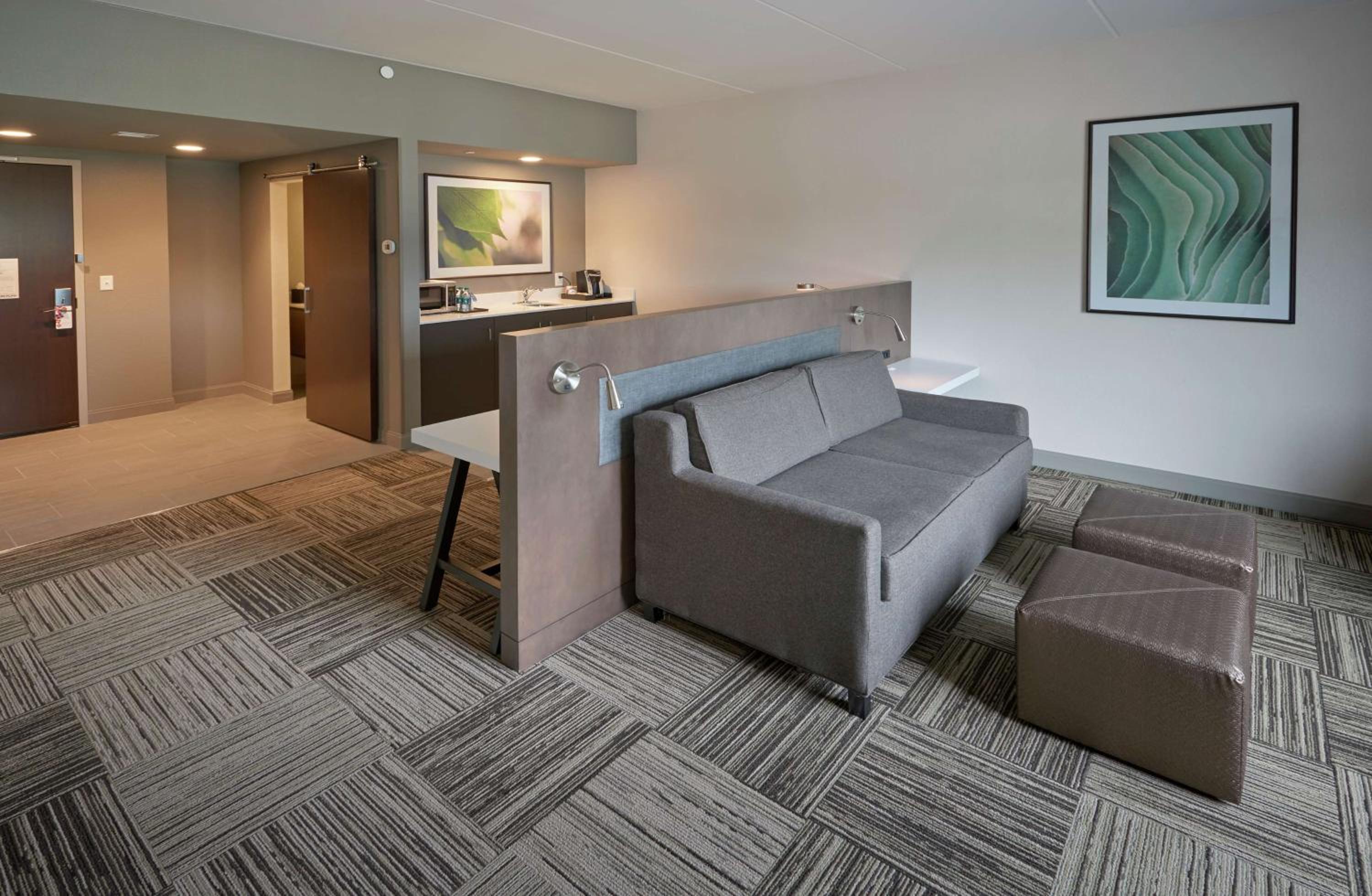 One-Bedroom King Suite with Sofa Bed - Photo 1