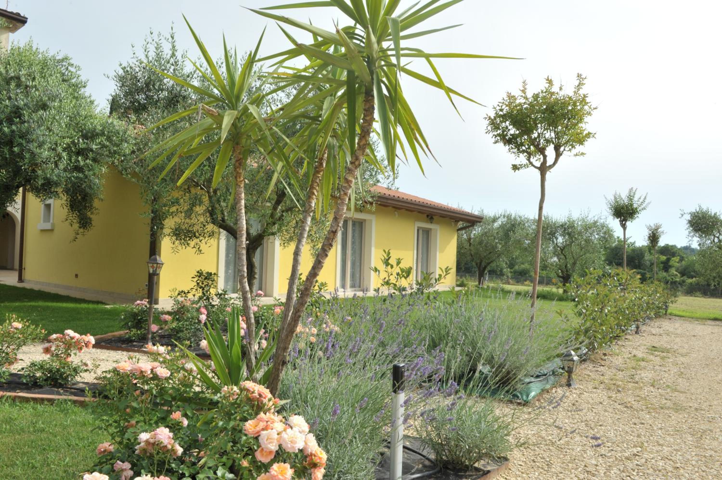 Double Room with Garden View photo 2