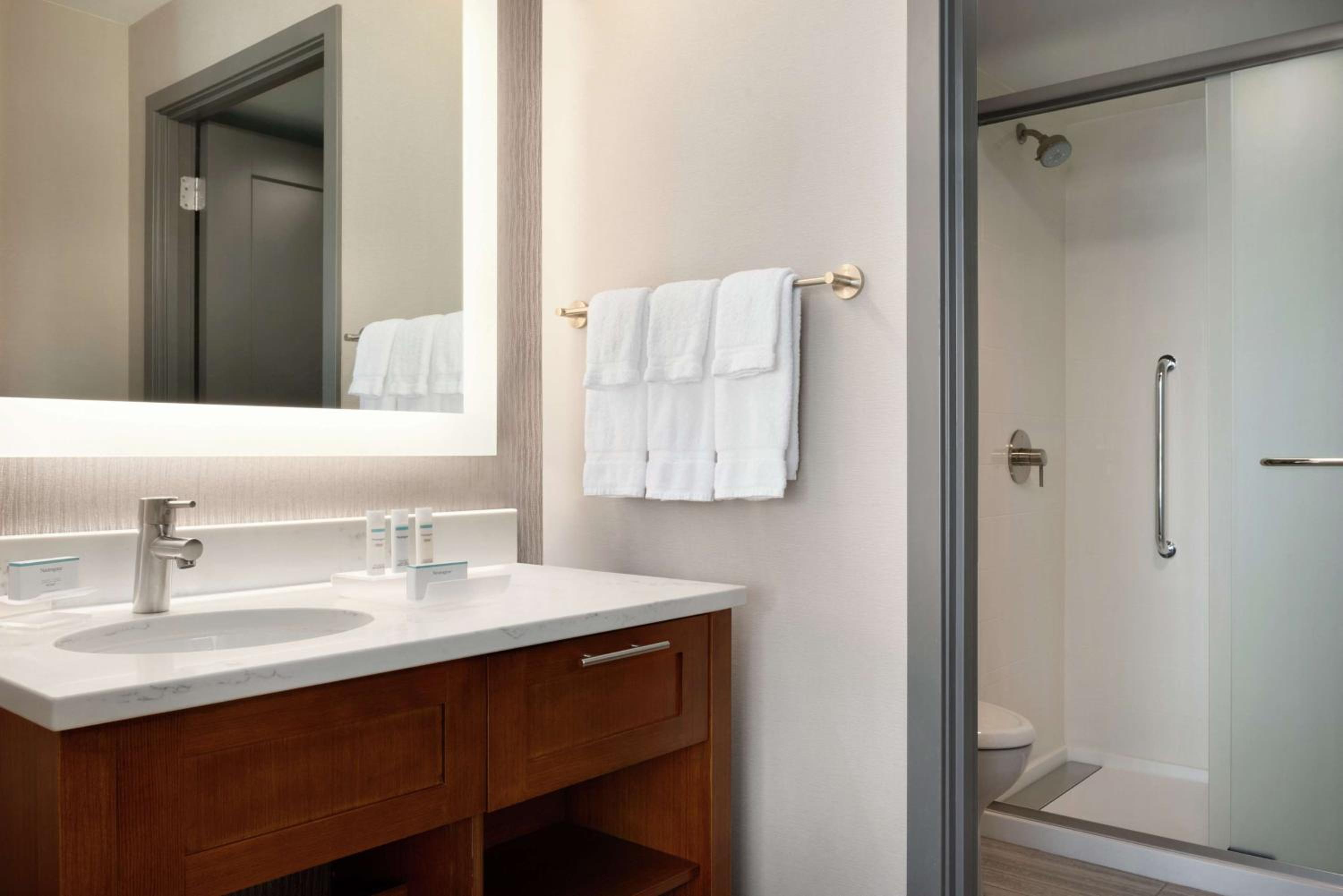 King Studio Suite - Non-Smoking - Photo 4