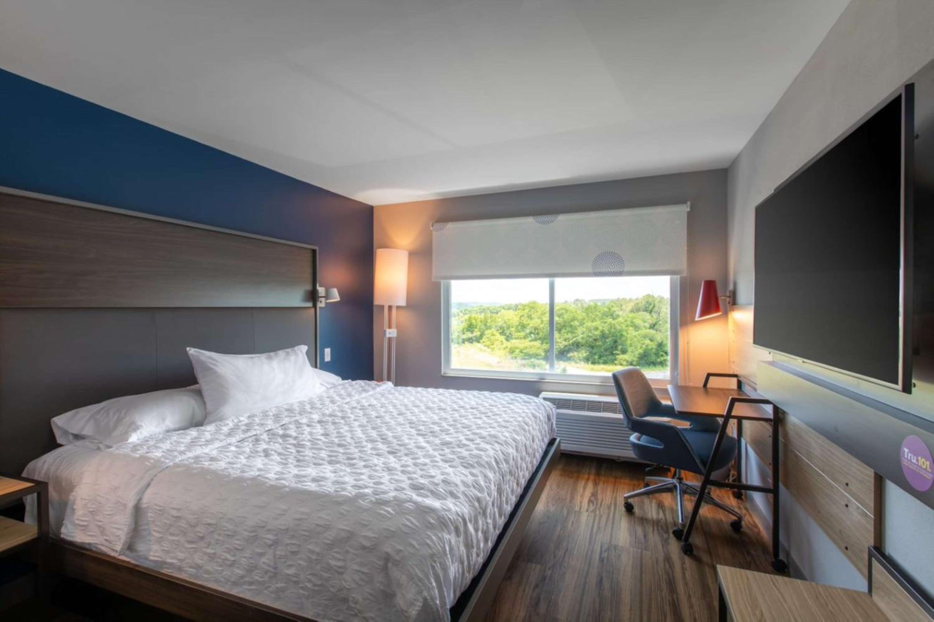 King Room - Photo 1