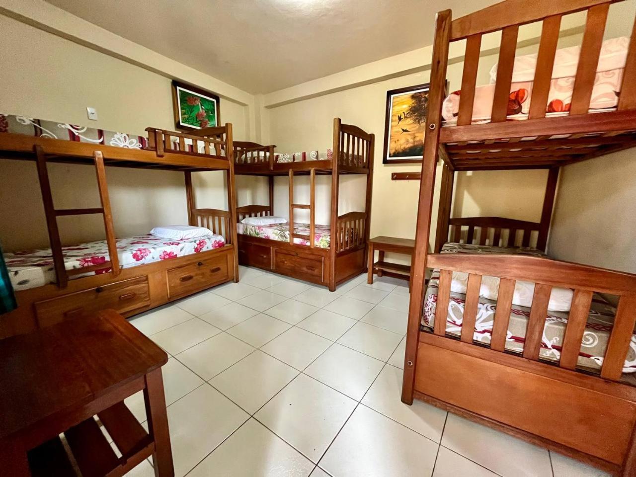 Bed in 6-Bed Female Dormitory Room photo 1