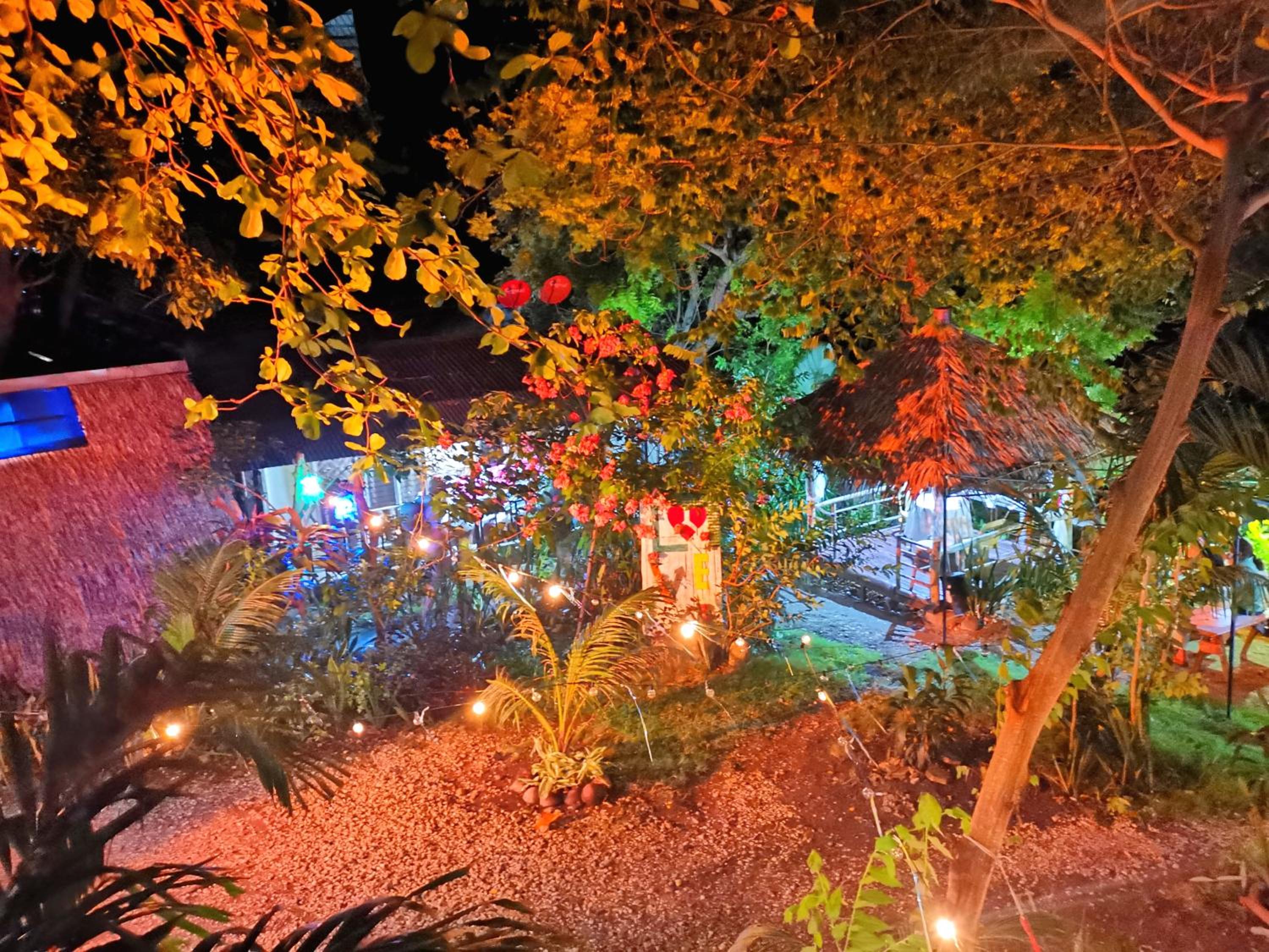 Tree House with Sea View - Photo 34
