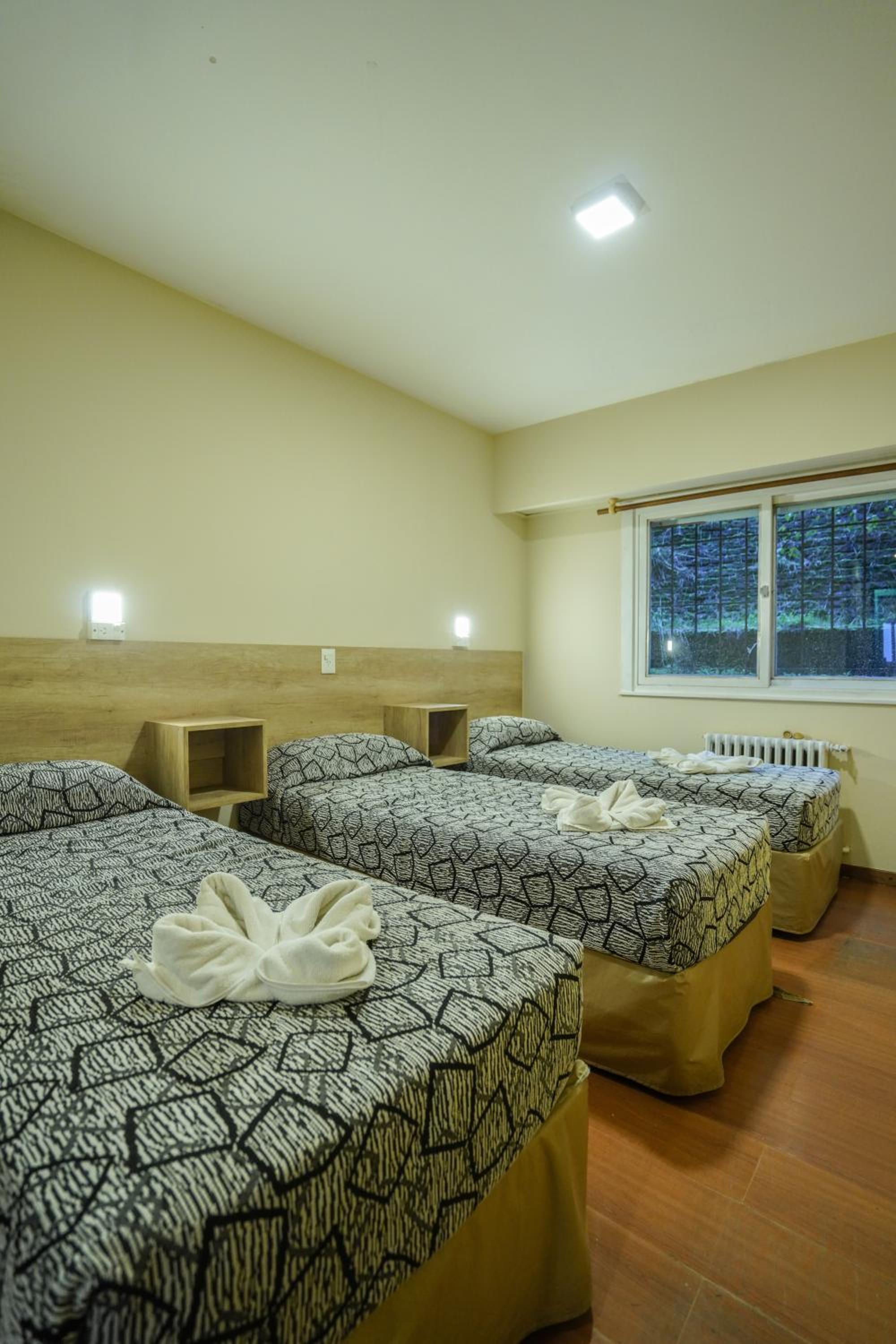 Single Bed in Mixed Dormitory Room photo 2