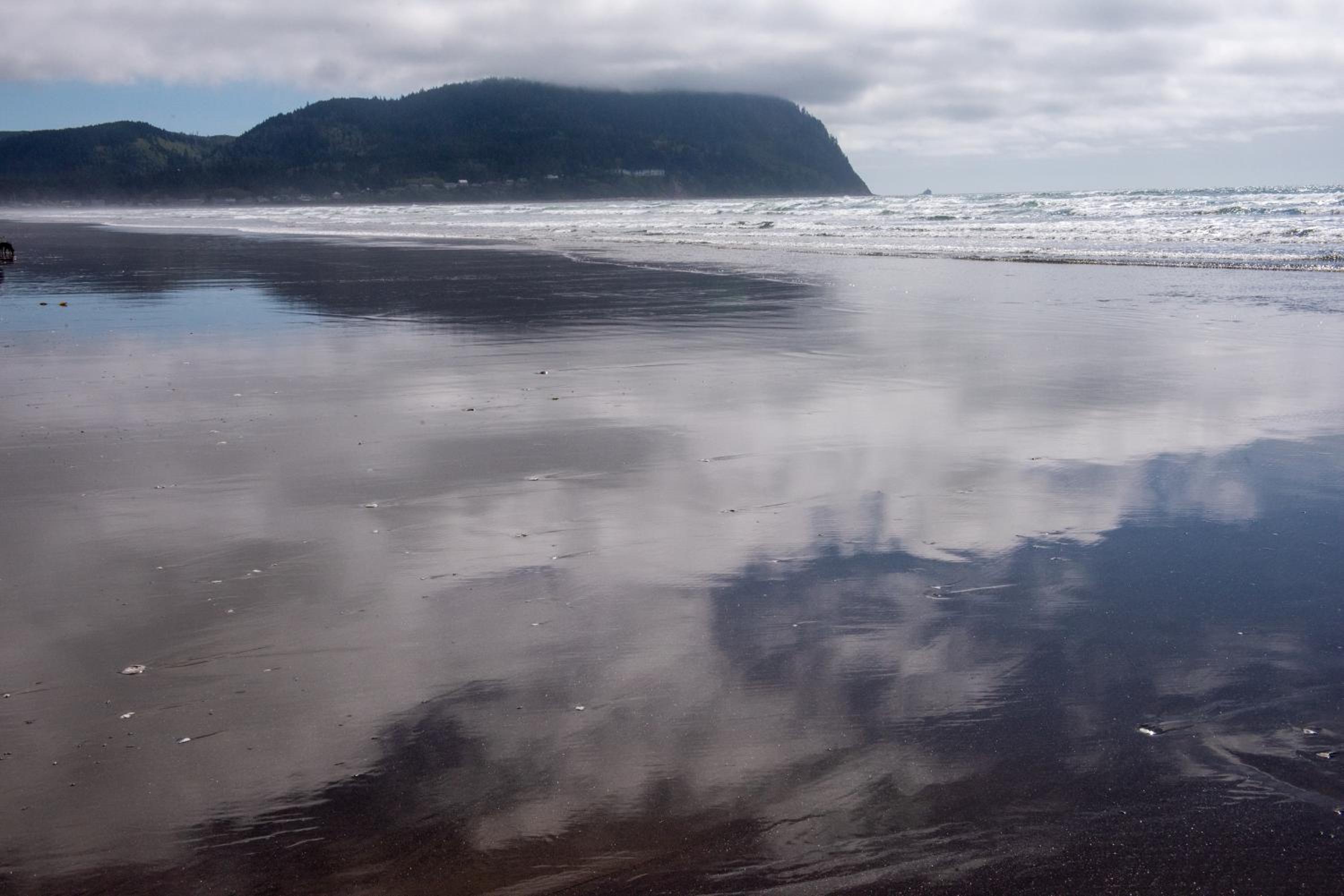 Beach Front King photo 2