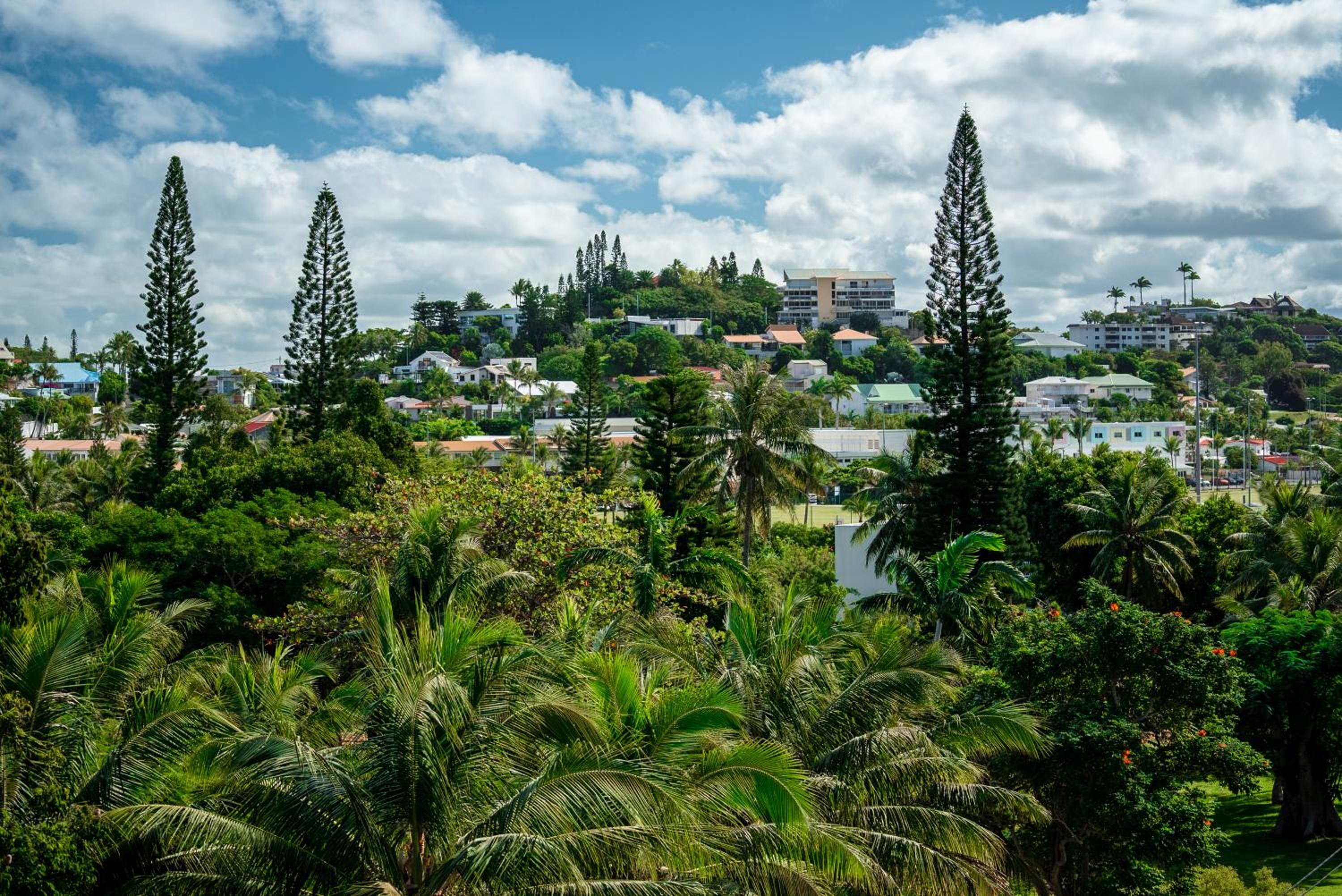 One Bedroom Suite Anse Vata Road