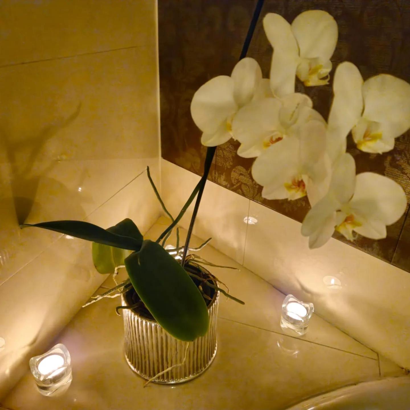 Standard Double Suite - Photo 3